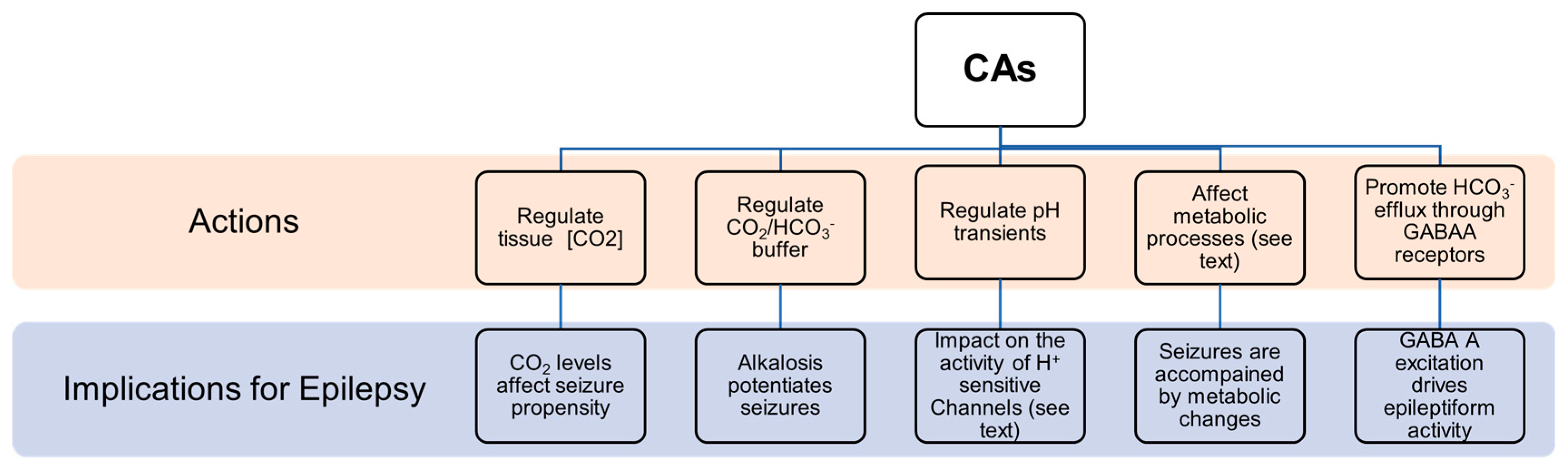 Molecules 26 06380 g007
