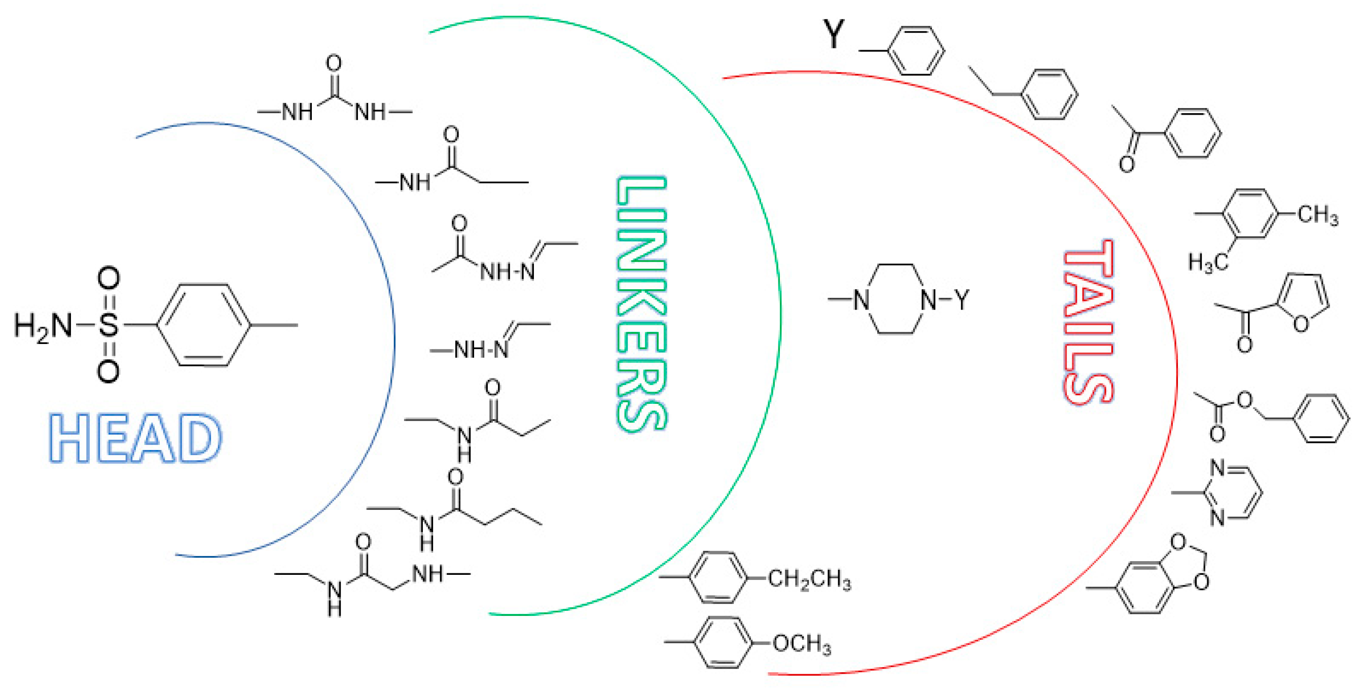 Molecules 26 06380 g010