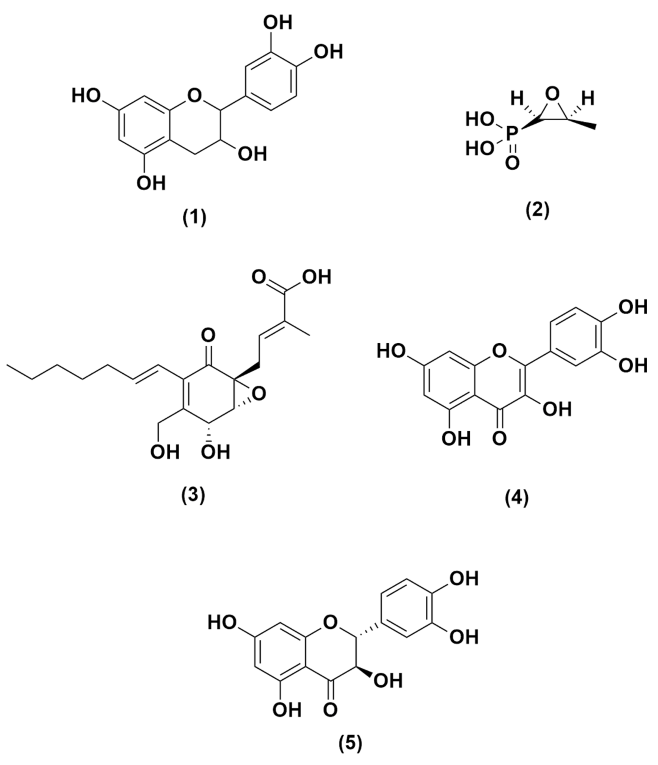 Molecules 26 06381 g005