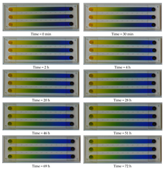 Molecules 26 06385 g0a1 550