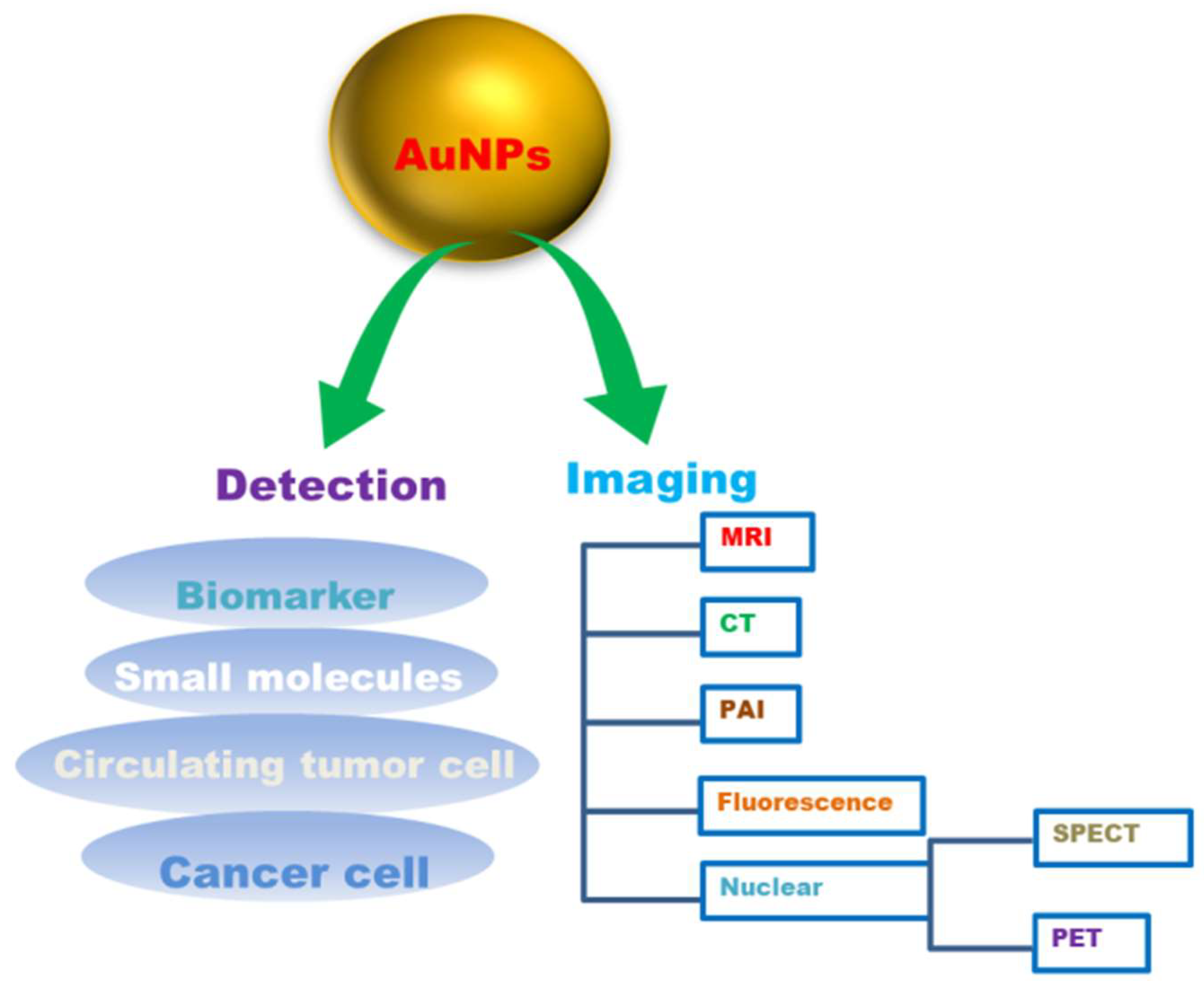 Molecules 26 06389 g005