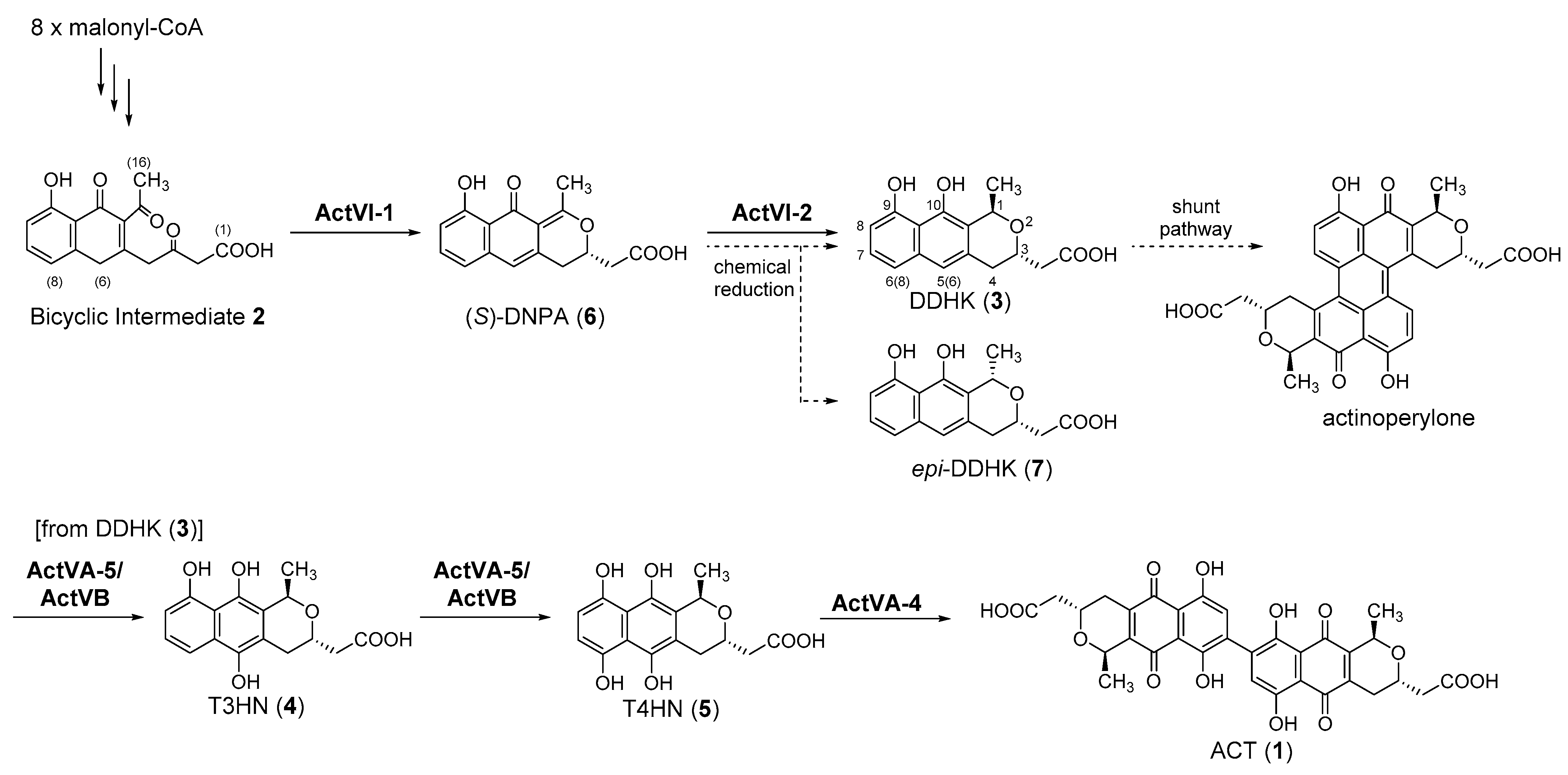 Molecules 26 06397 sch001