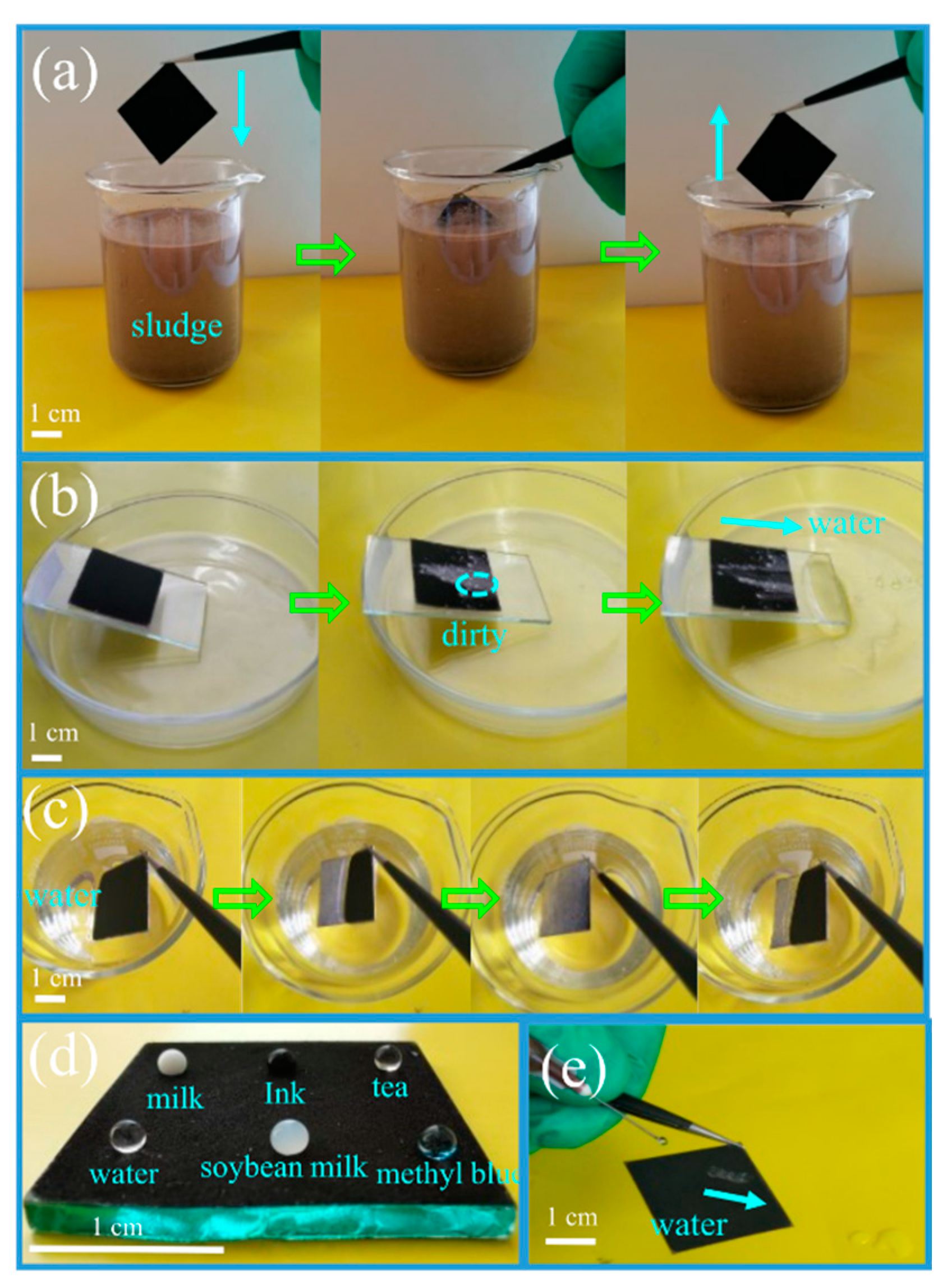 Molecules 26 06401 g008