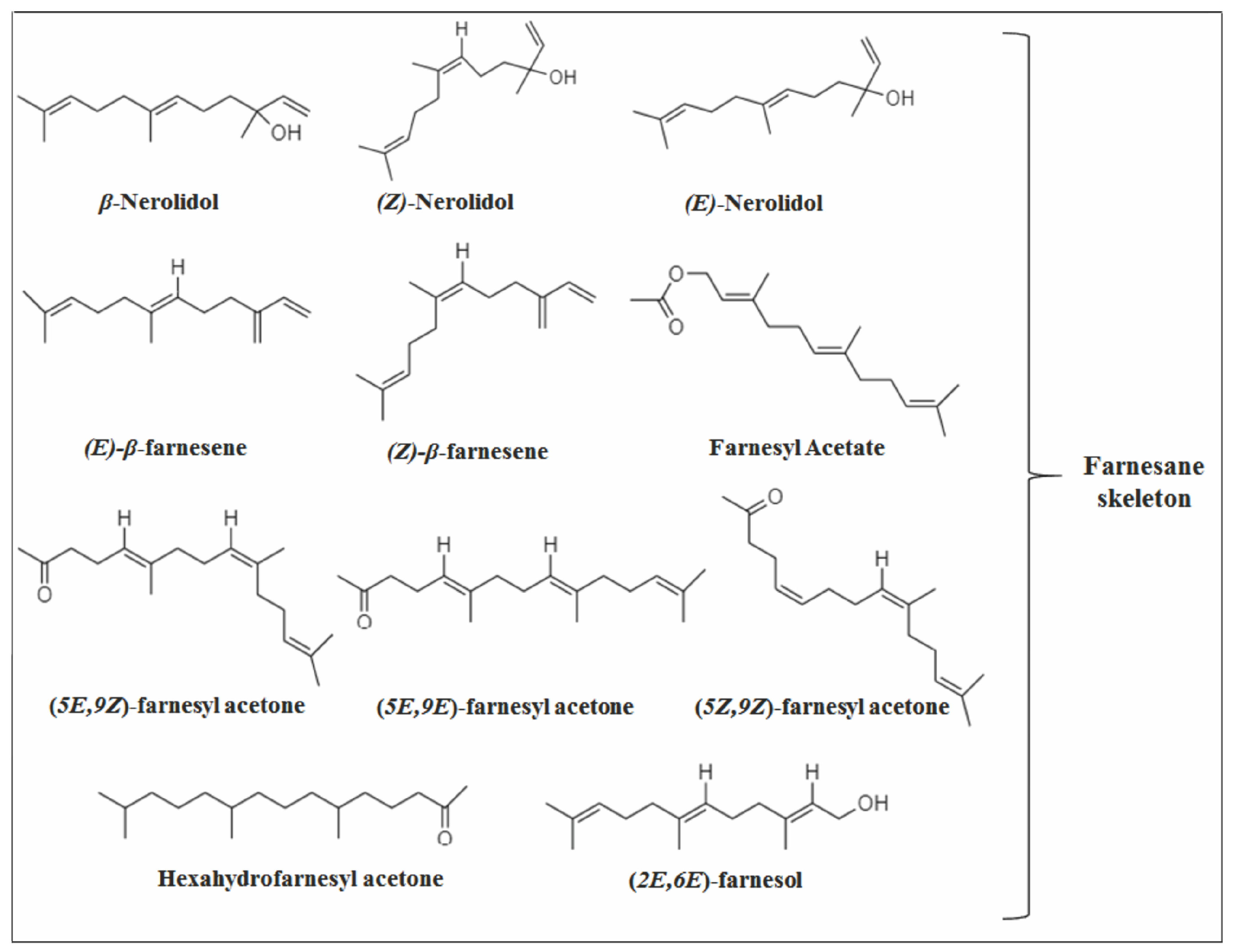 Molecules 26 06405 g003