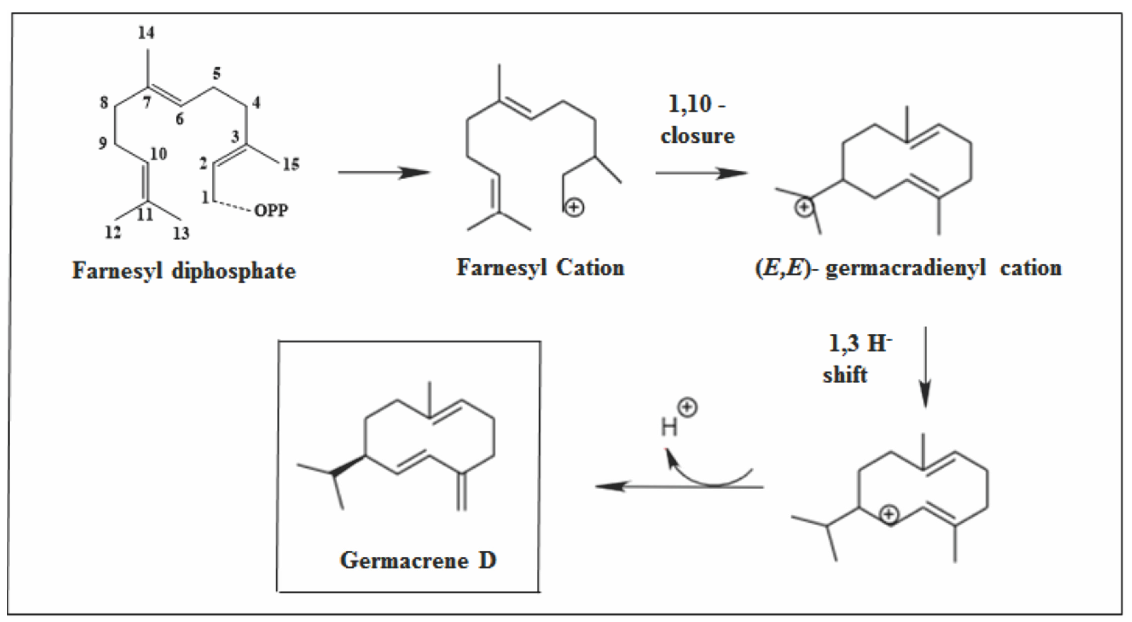 Molecules 26 06405 g006