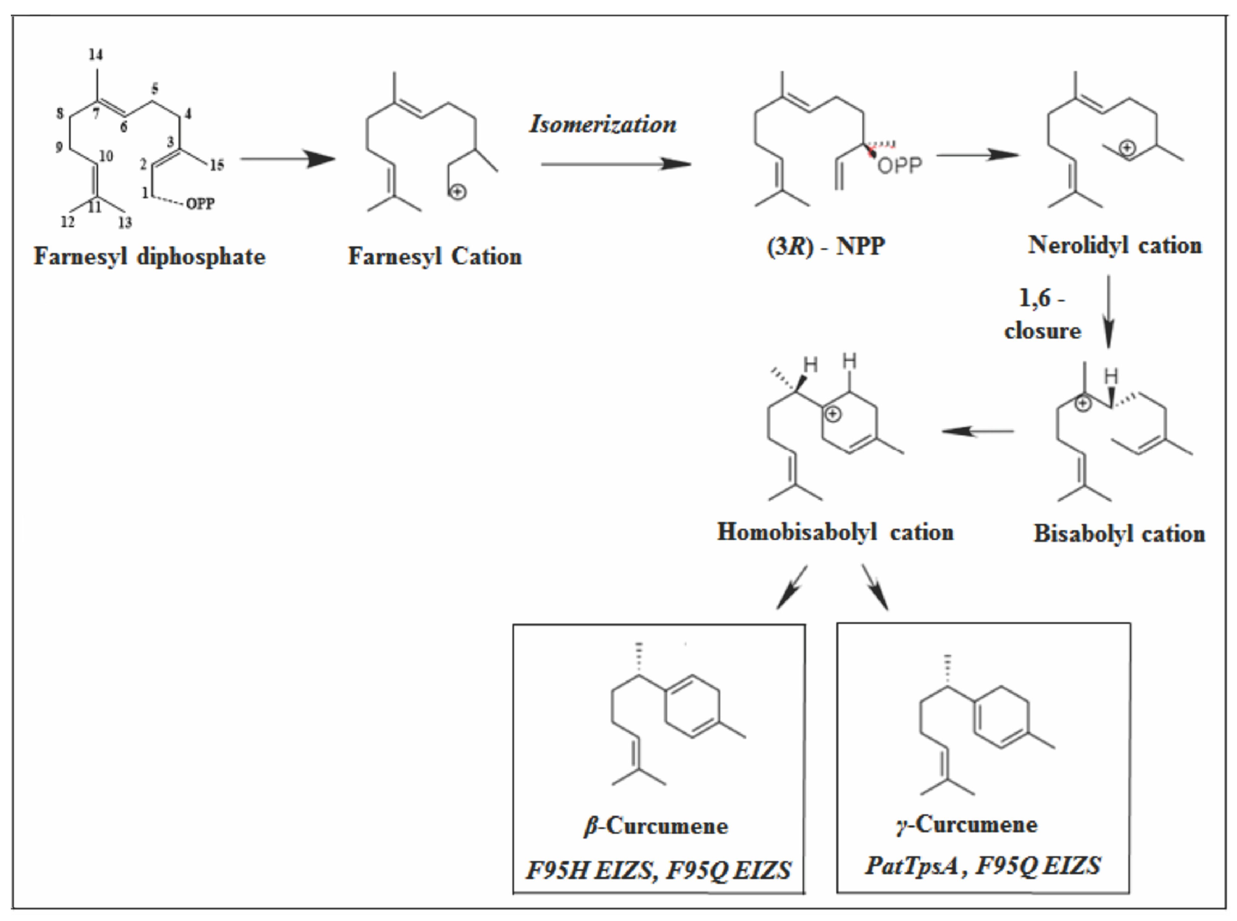 Molecules 26 06405 g007