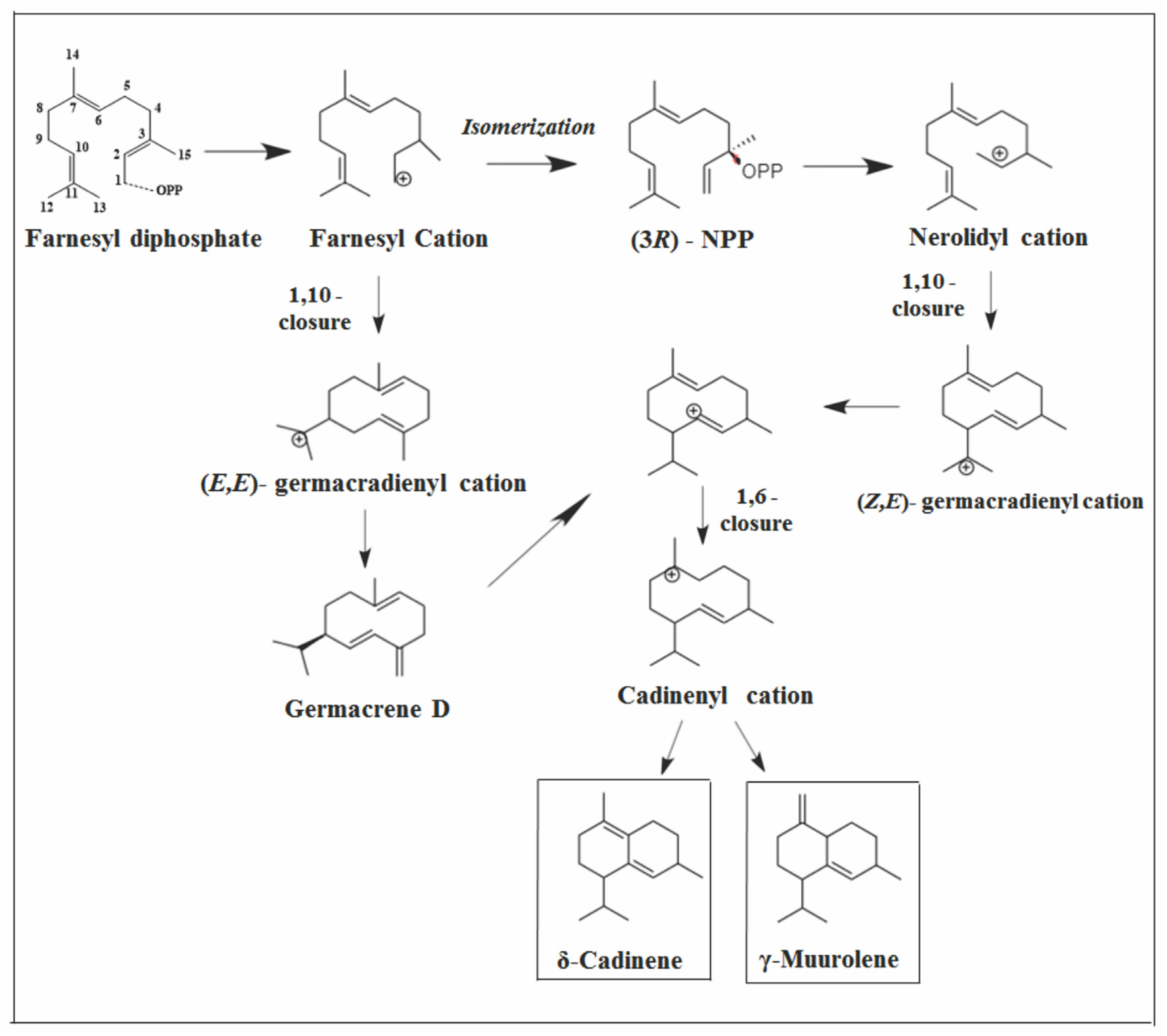Molecules 26 06405 g010