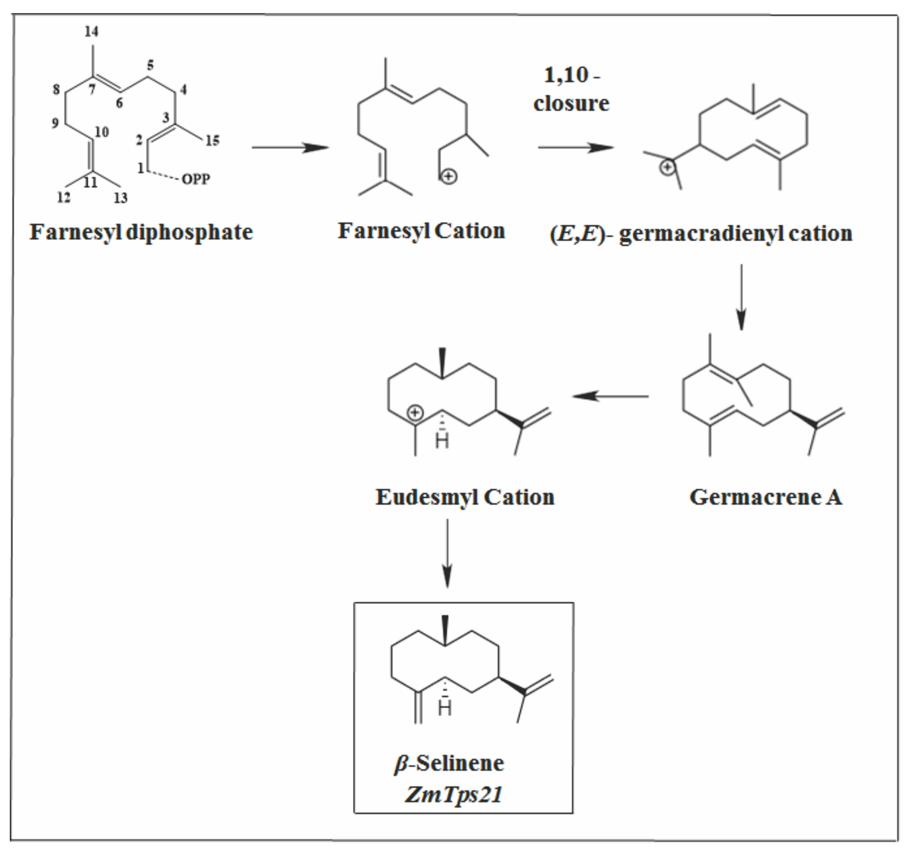 Molecules 26 06405 g011