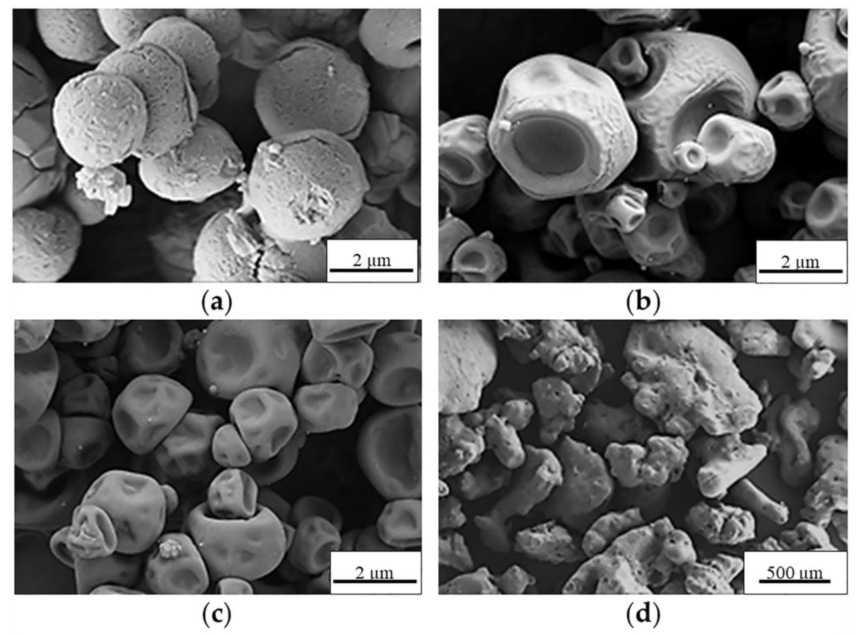 Molecules 26 06408 g003