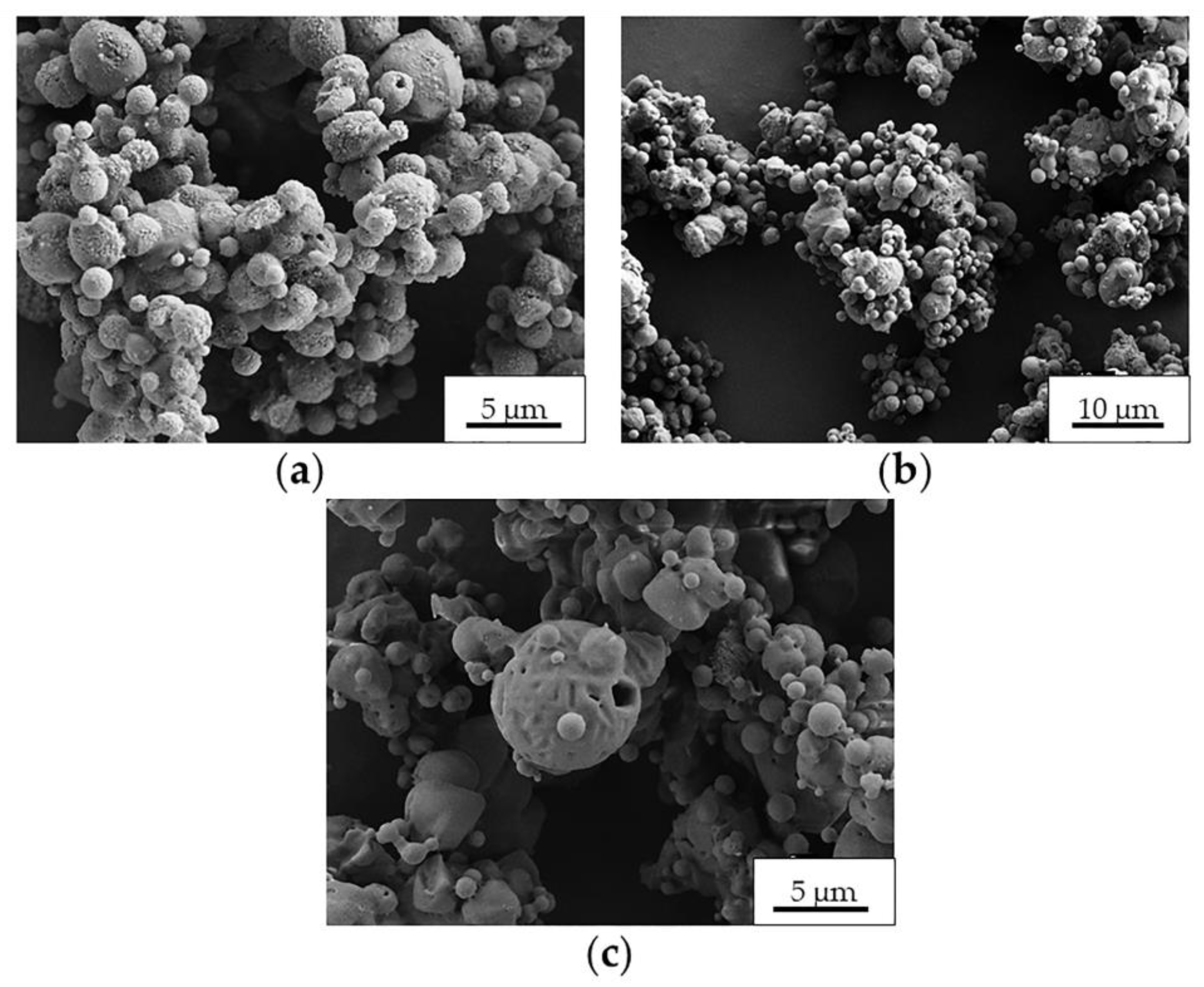 Molecules 26 06408 g004