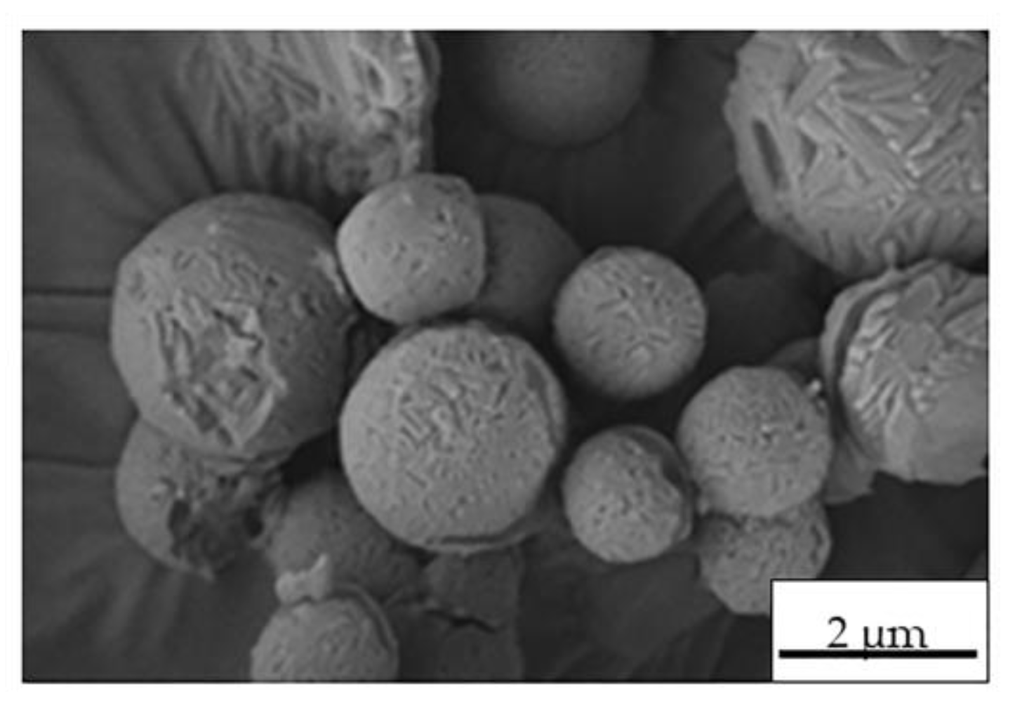 Molecules 26 06408 g006