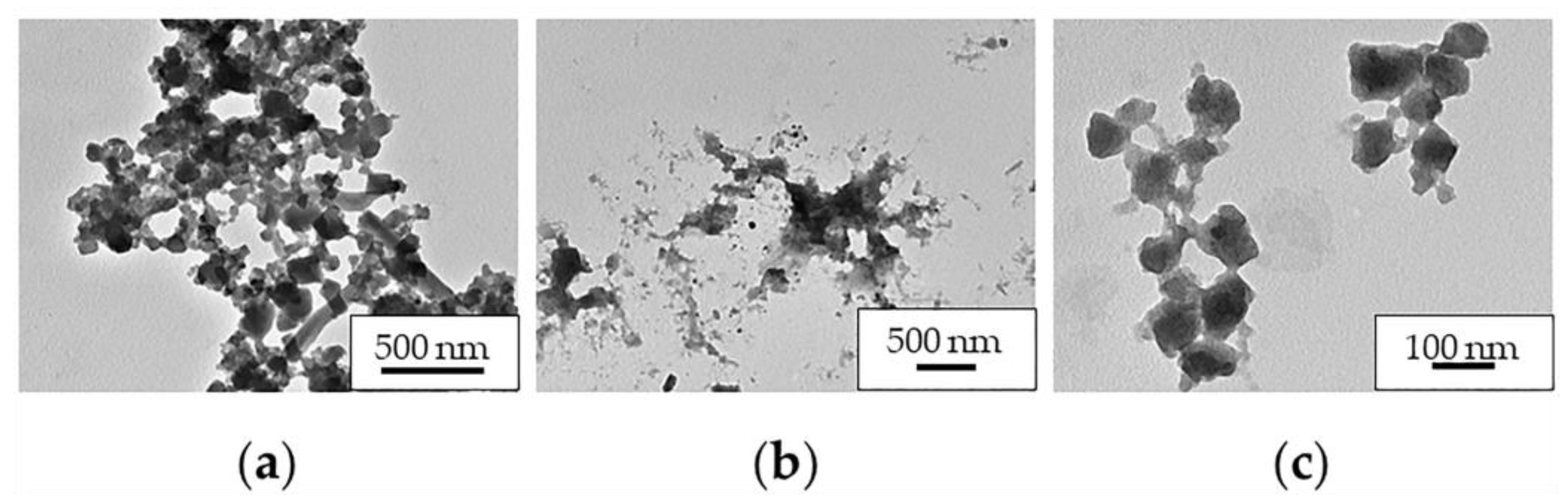Molecules 26 06408 g010