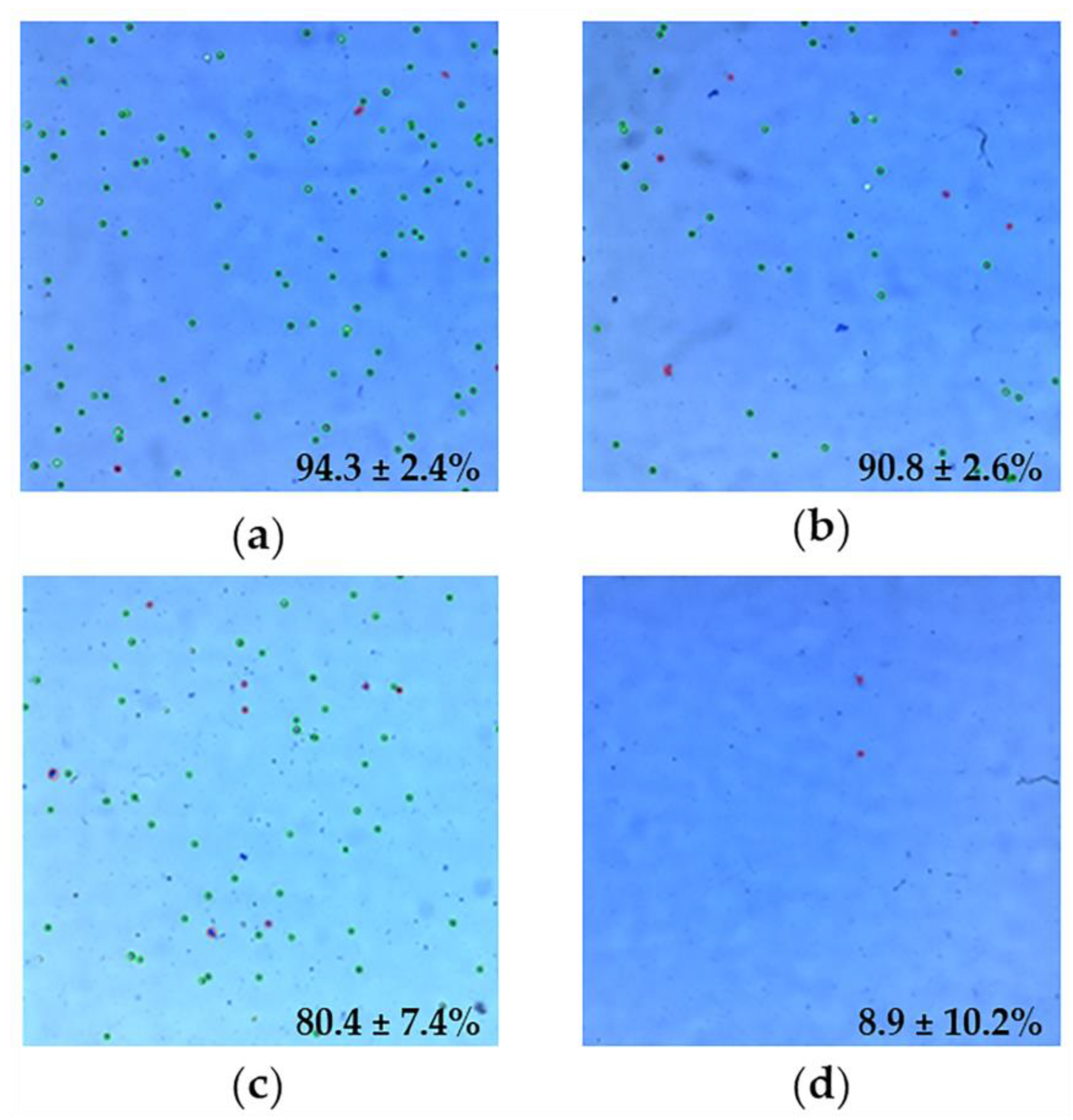 Molecules 26 06408 g013