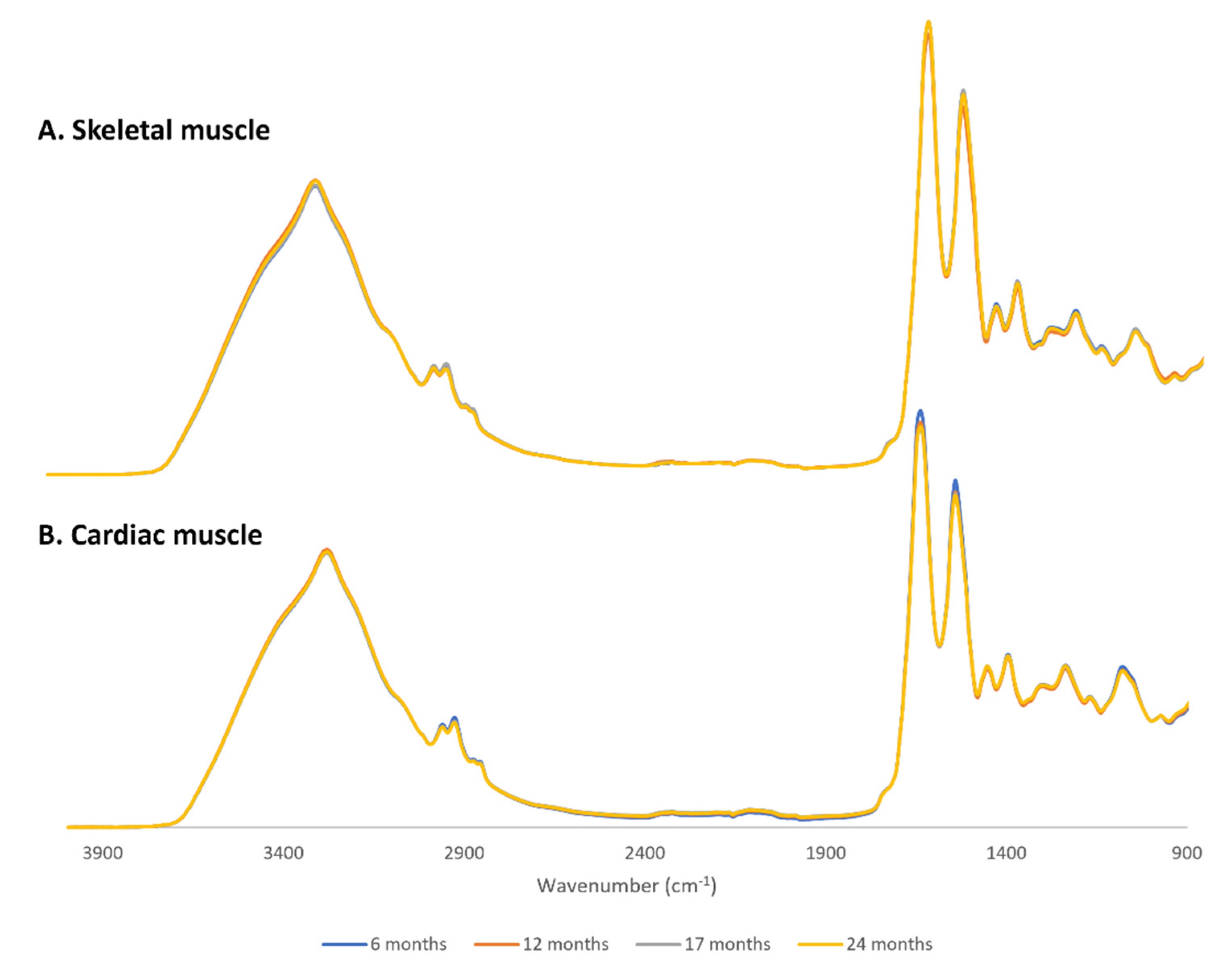 Molecules 26 06410 g001