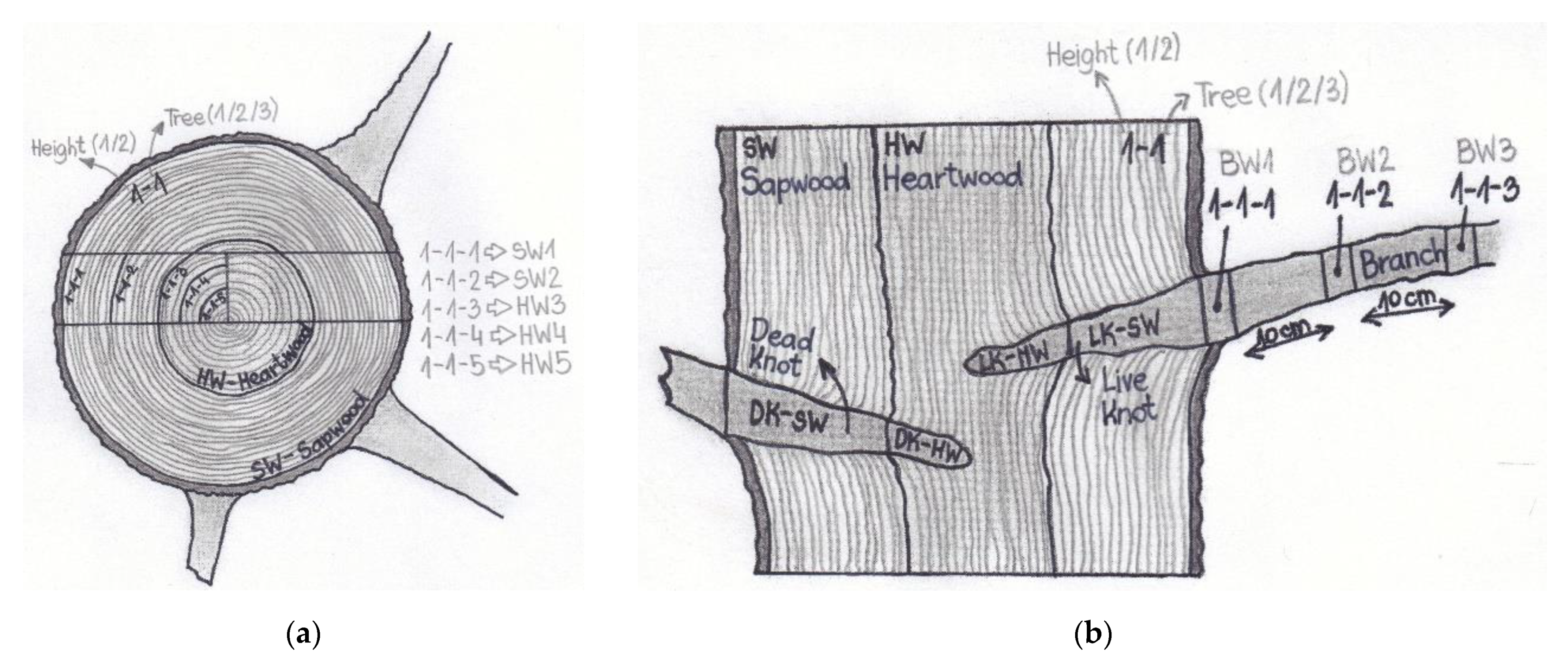 Molecules 26 06412 g001