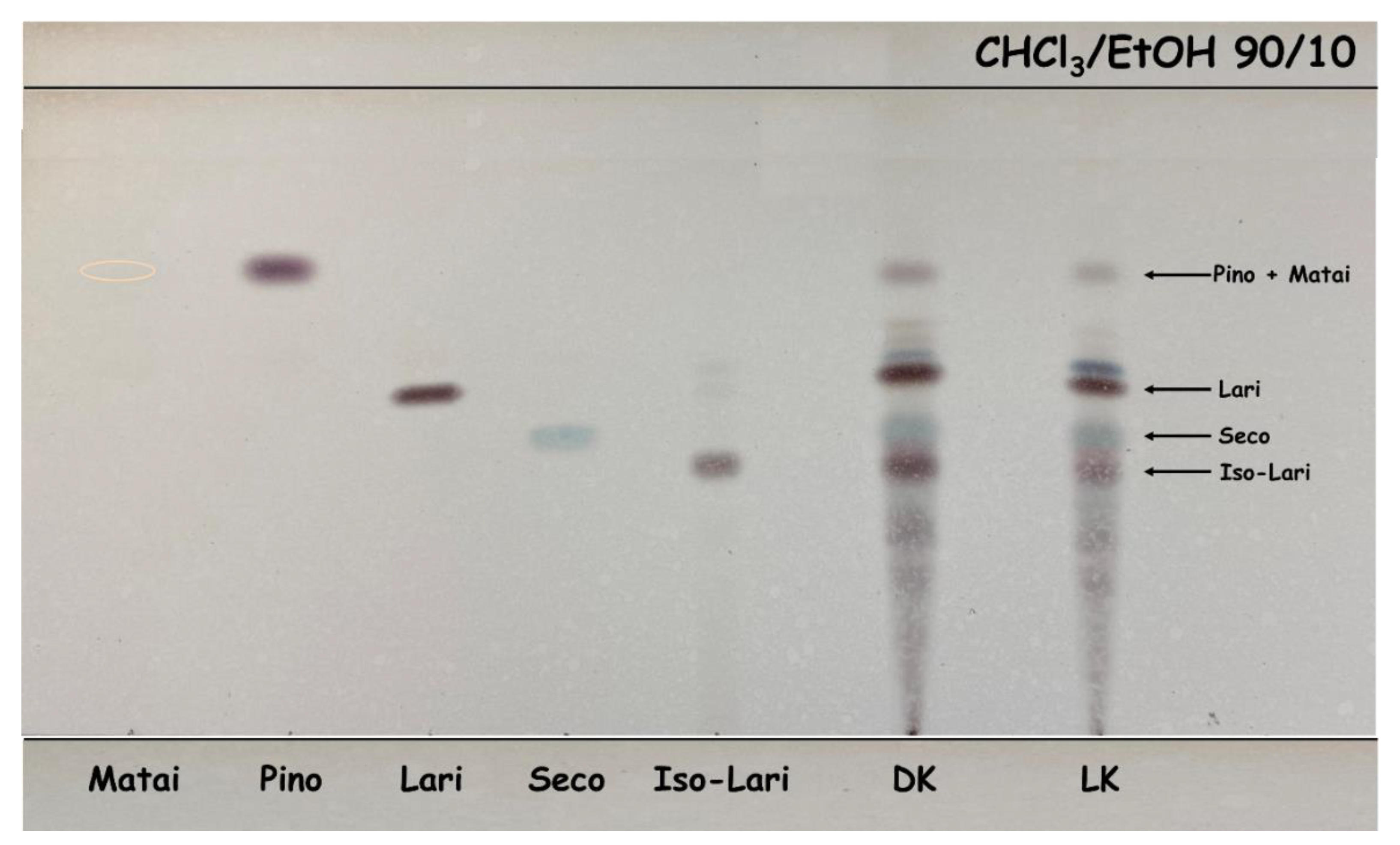 Molecules 26 06412 g004