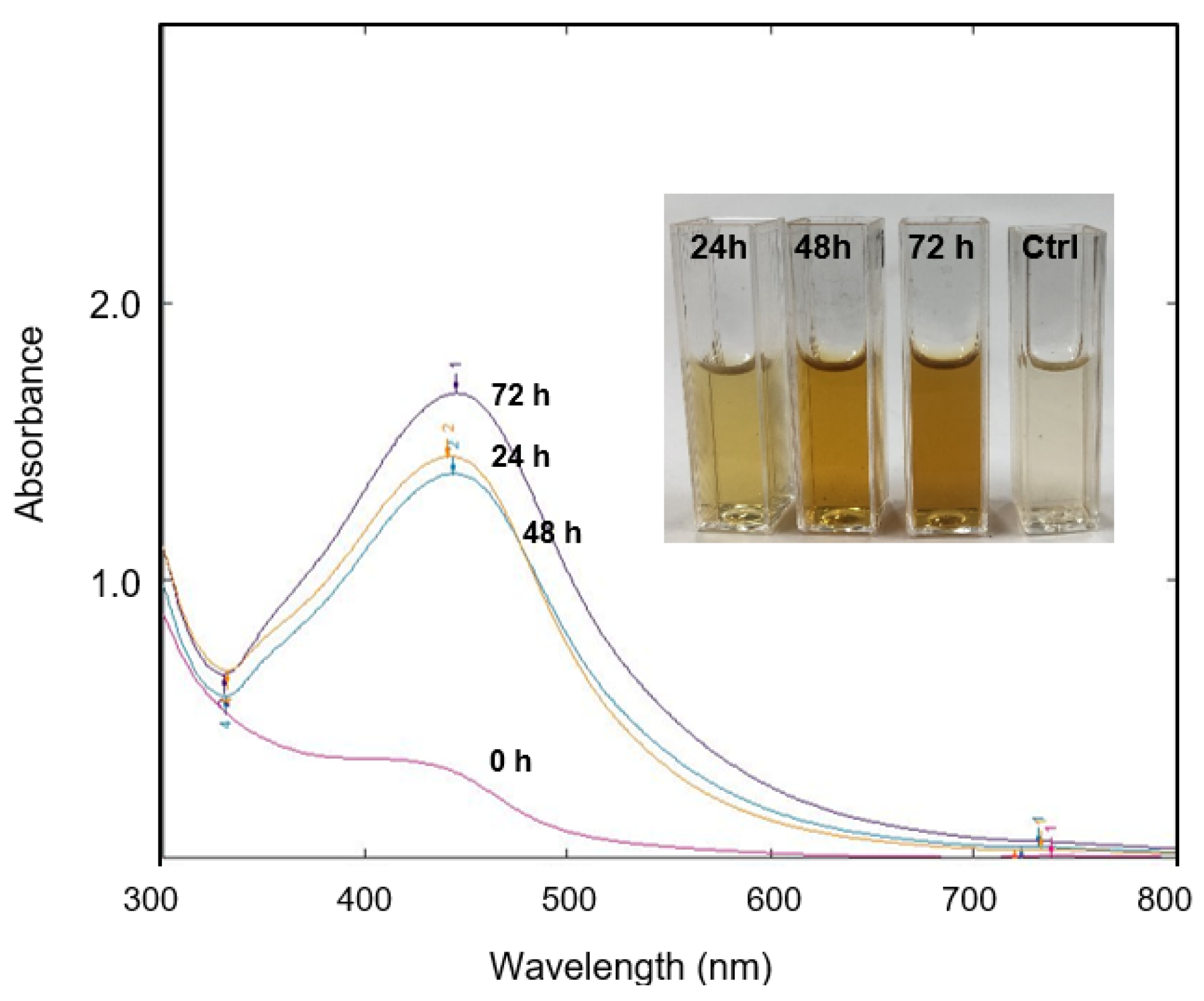 Molecules 26 06414 g001