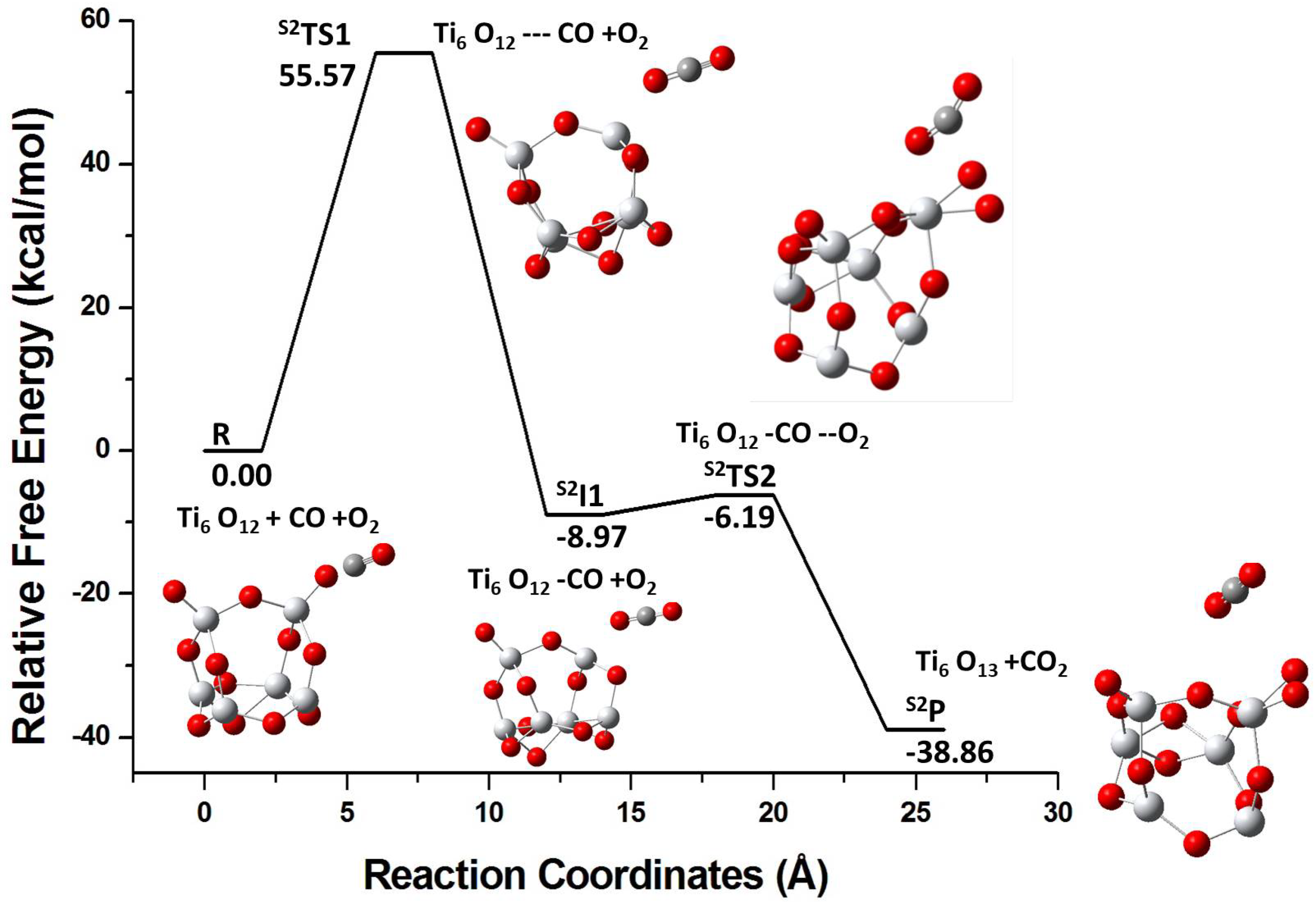 Molecules 26 06415 g004