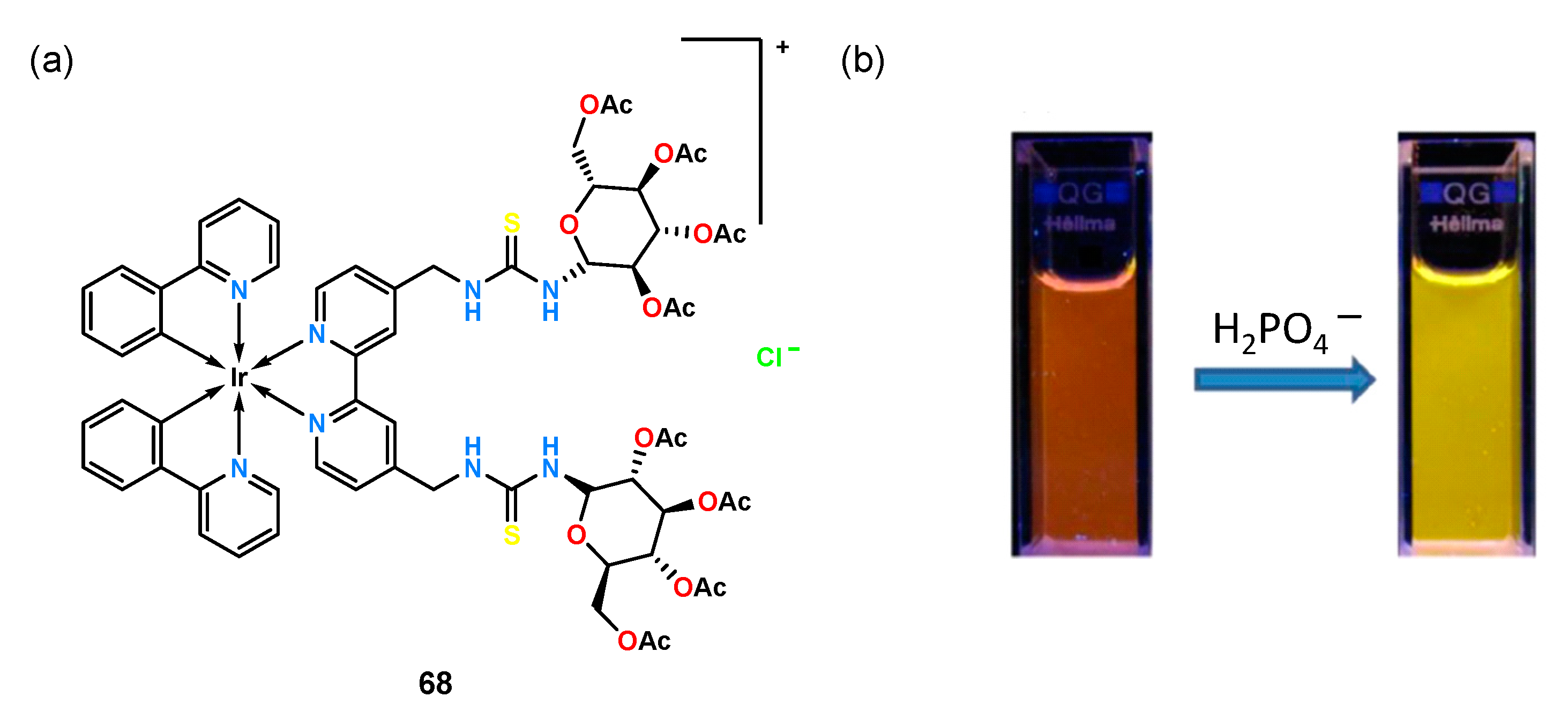 Molecules 26 06417 g022