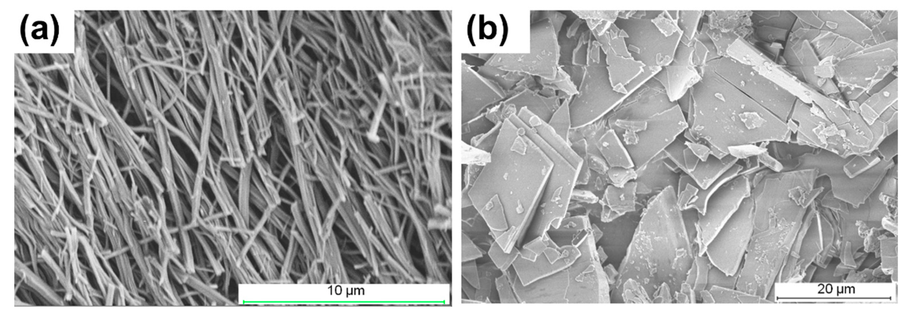 Molecules 26 06420 g004