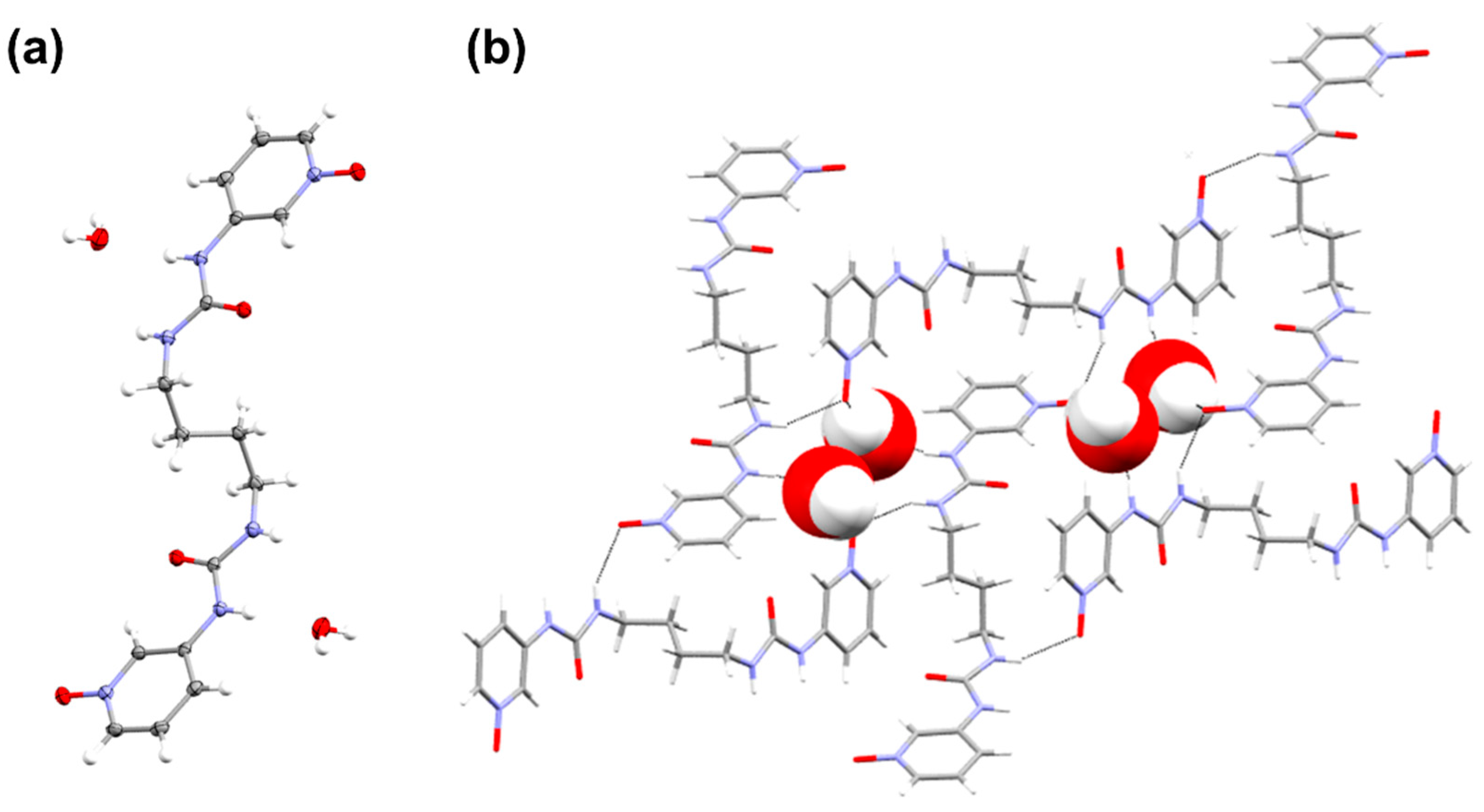 Molecules 26 06420 g006