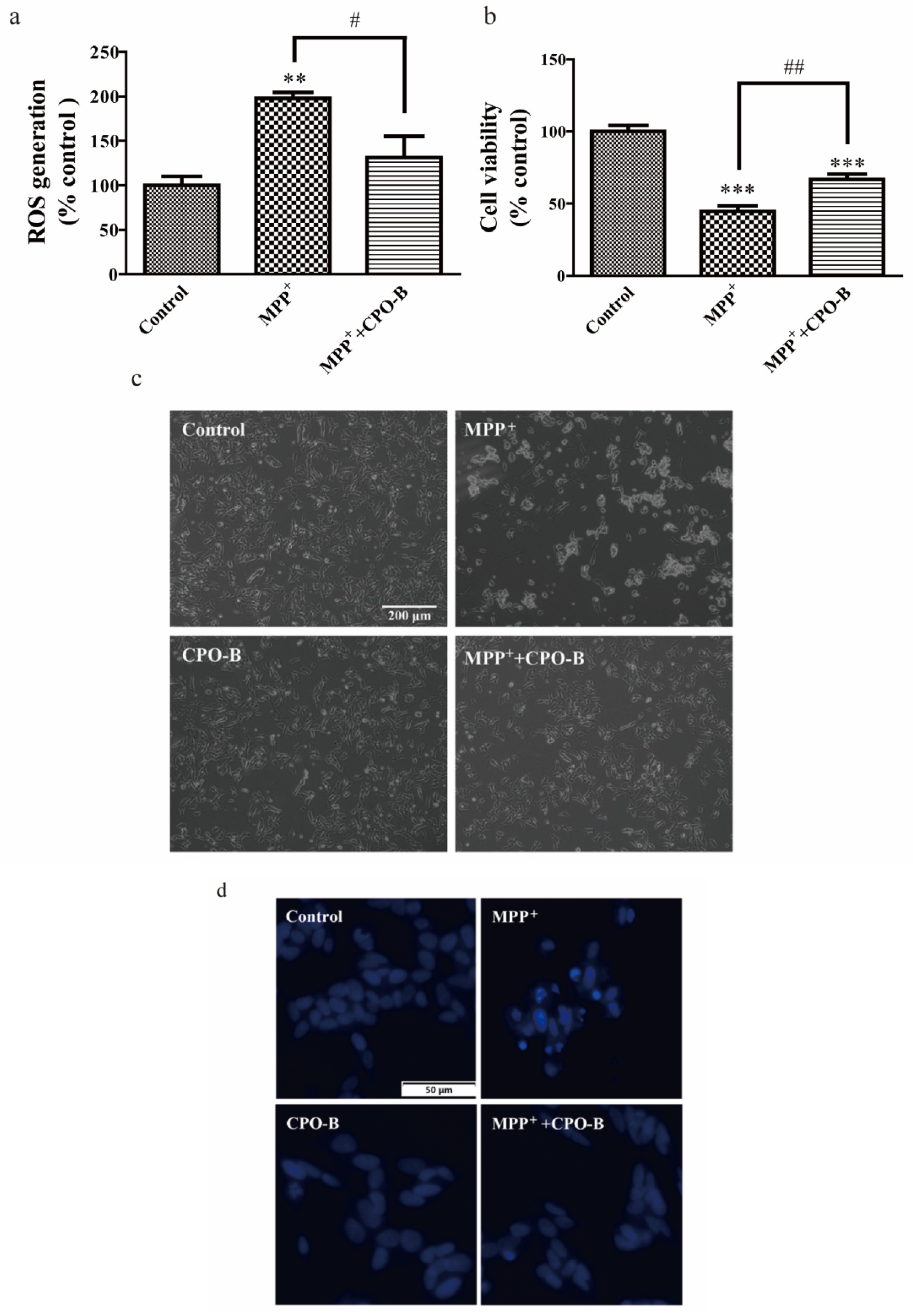 Molecules 26 06422 g001