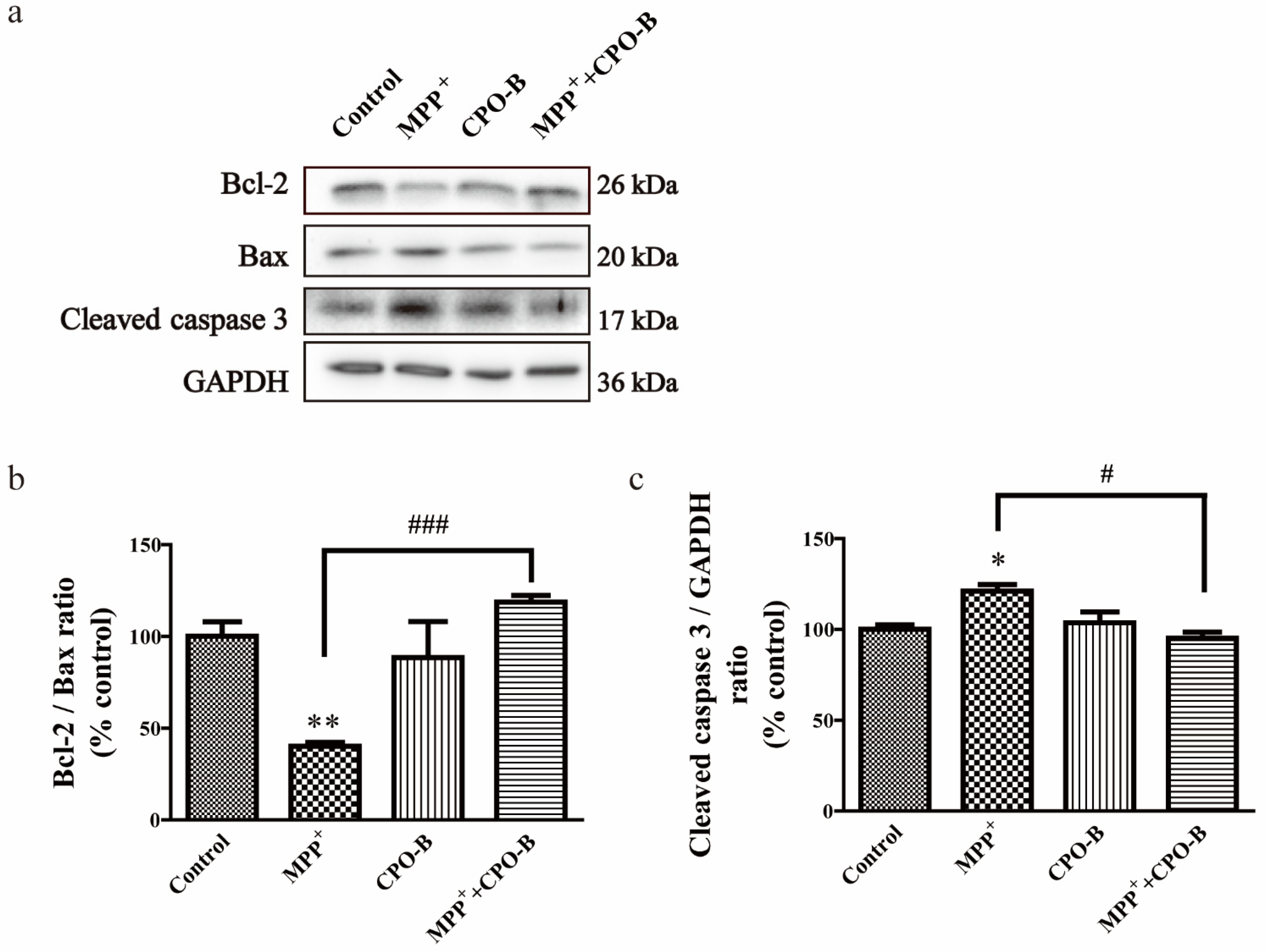 Molecules 26 06422 g002