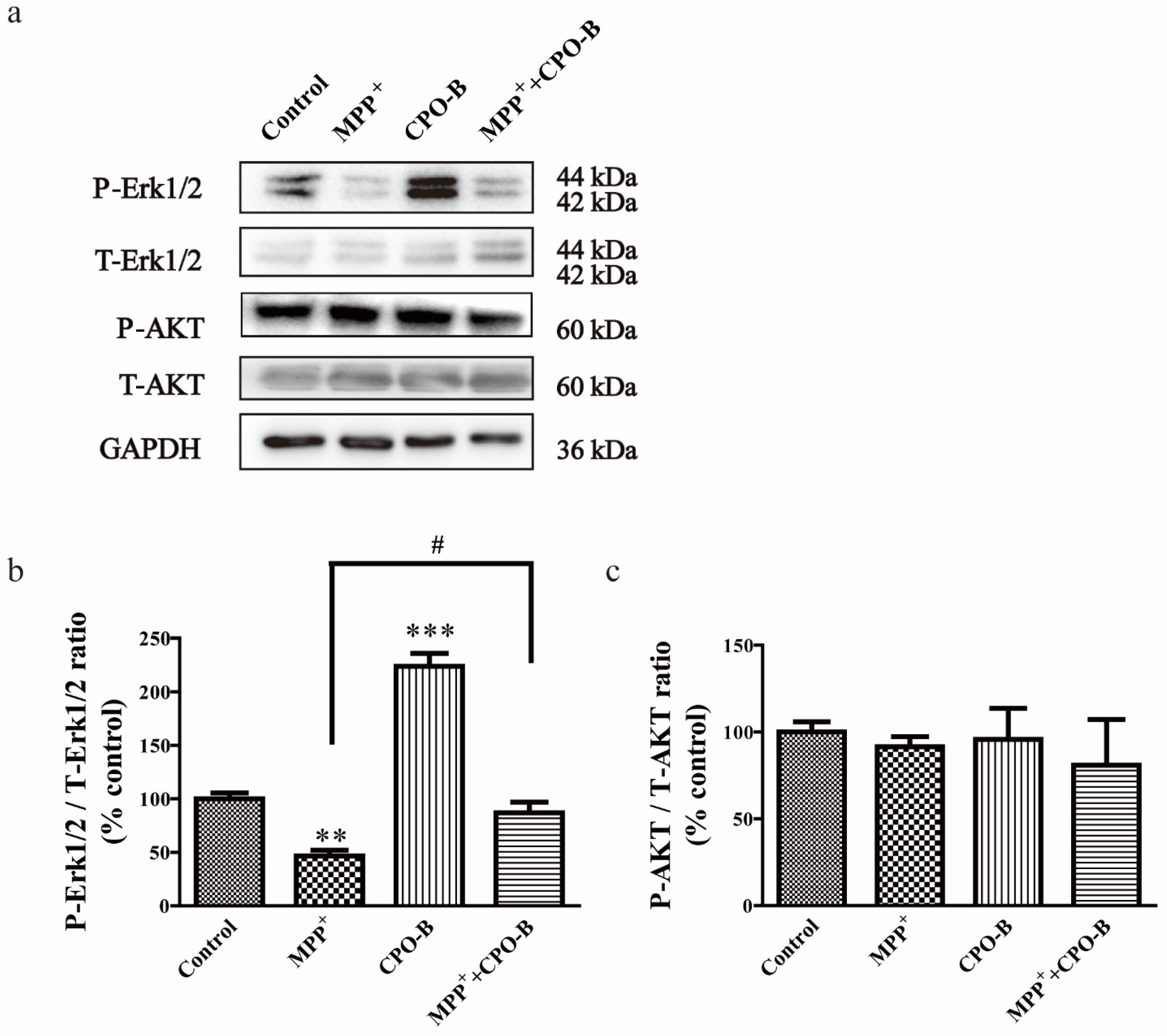 Molecules 26 06422 g003