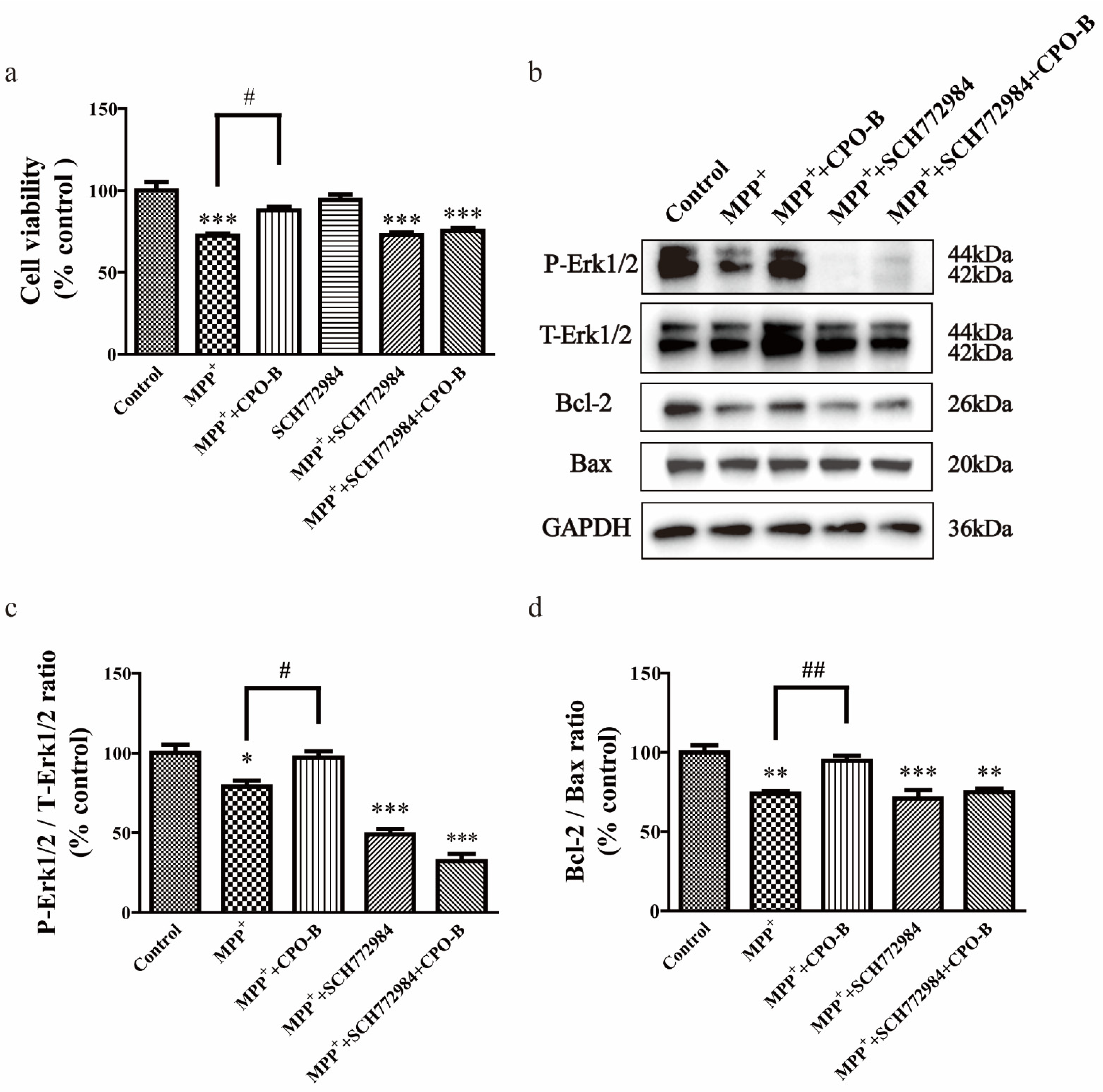 Molecules 26 06422 g004
