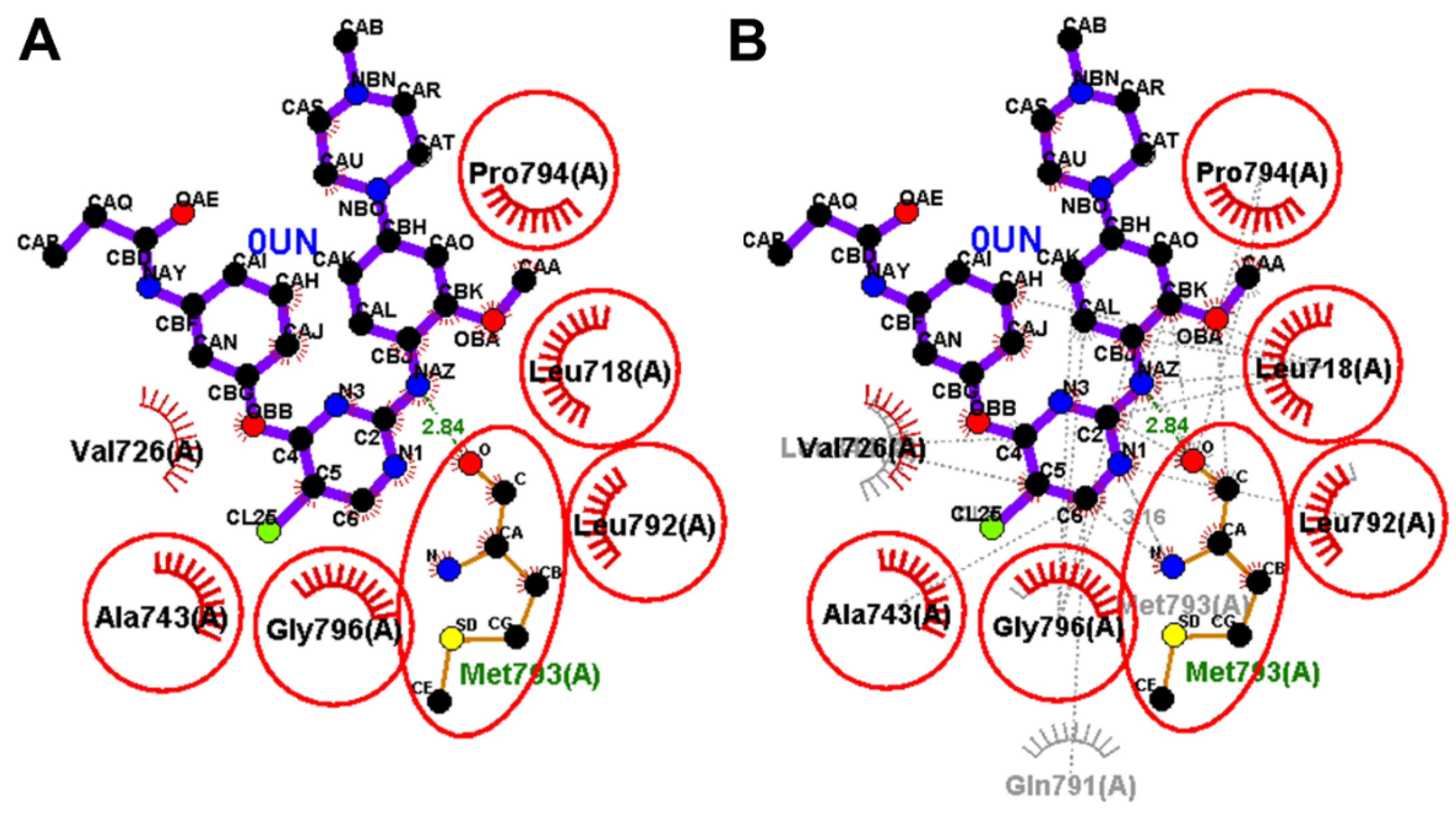 Molecules 26 06423 g016