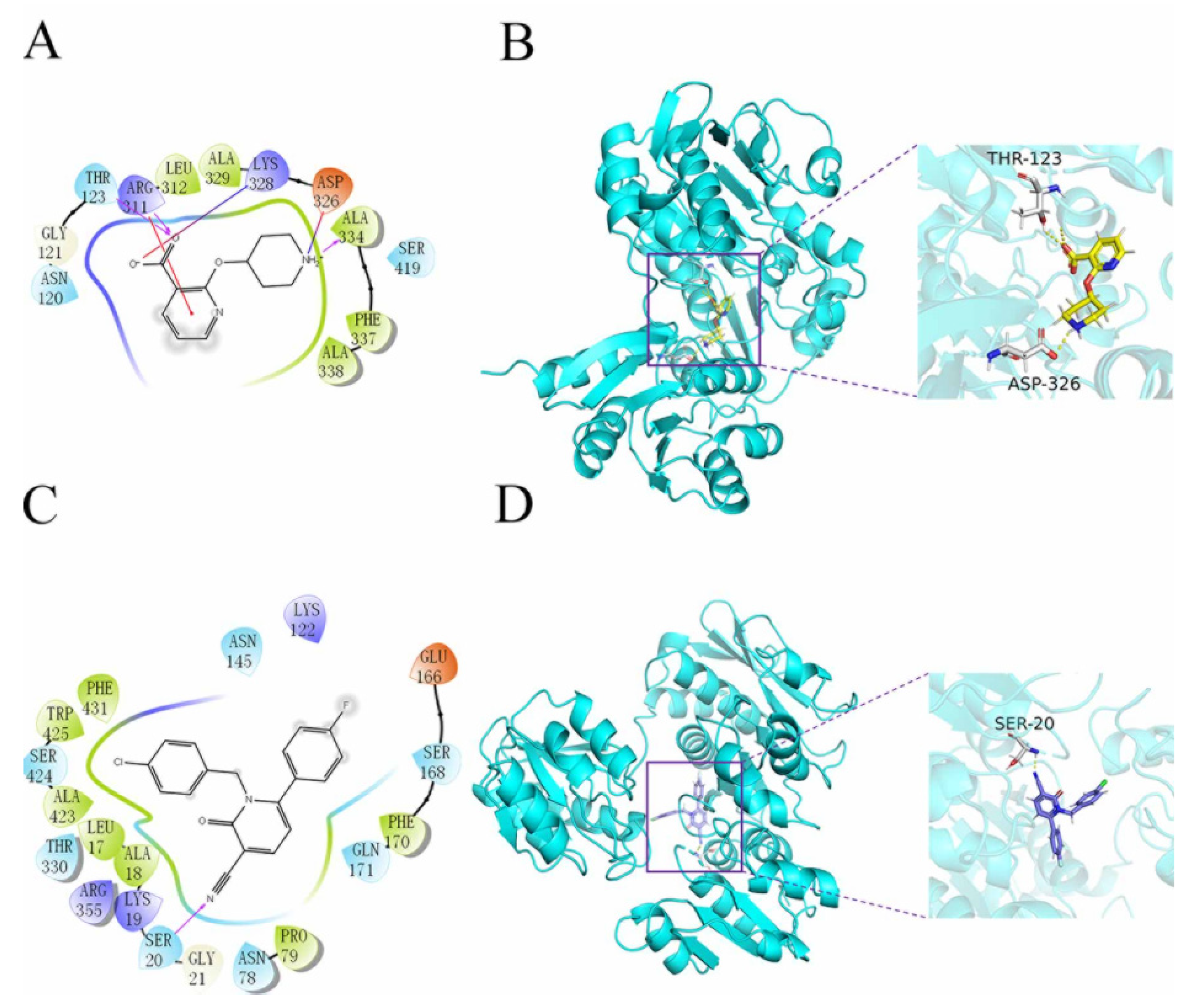Molecules 26 06426 g003