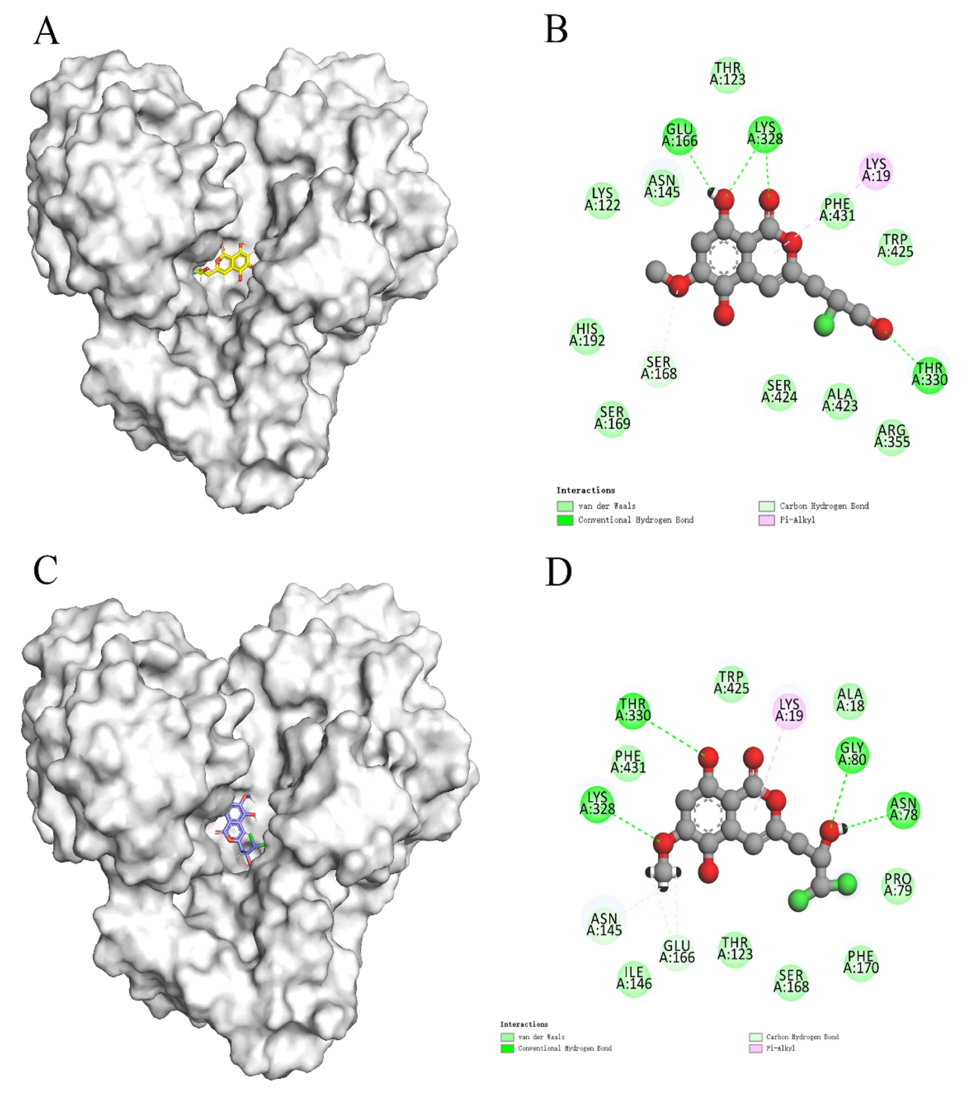 Molecules 26 06426 g009