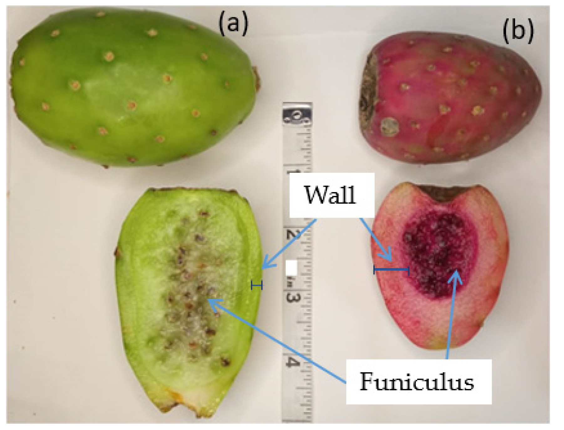 Molecules 26 06429 g001