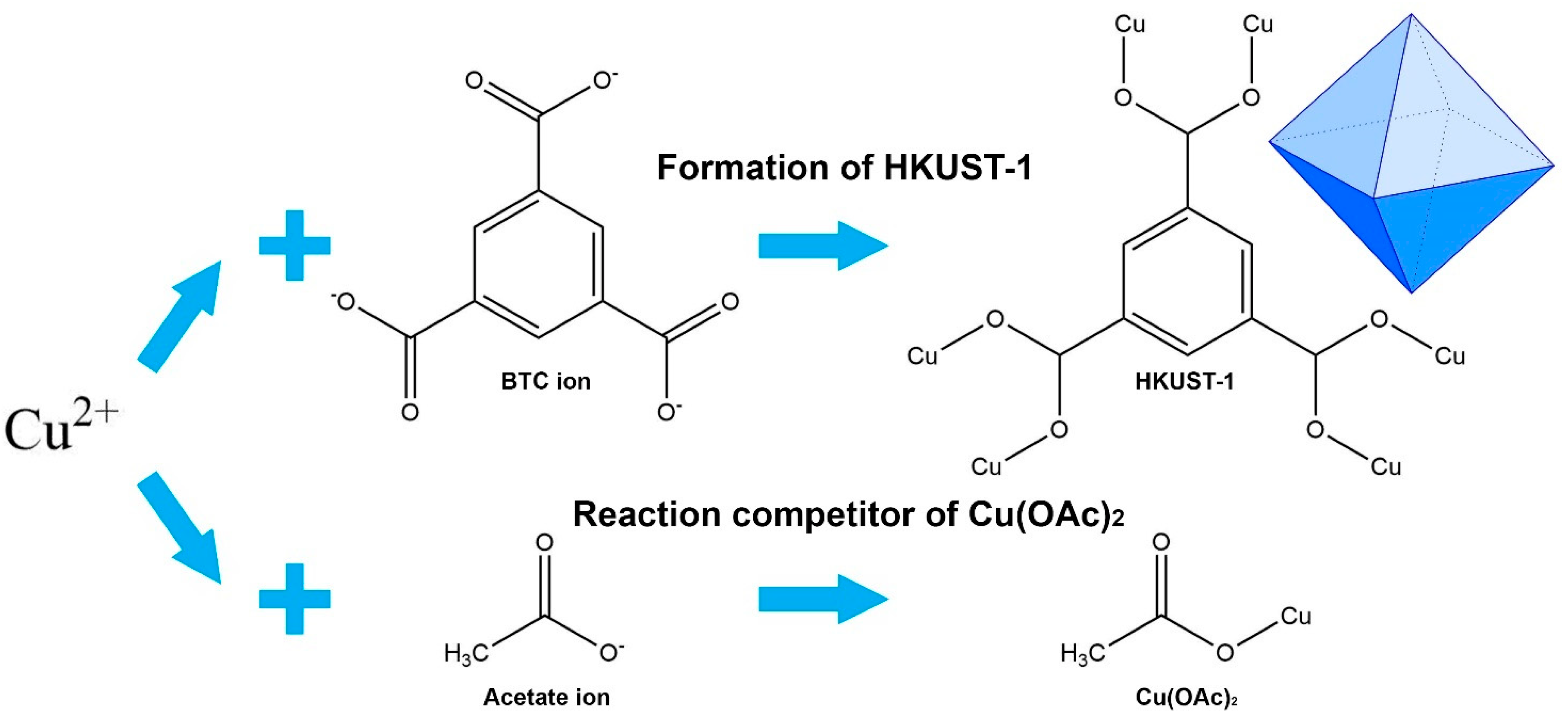 Molecules 26 06430 g006