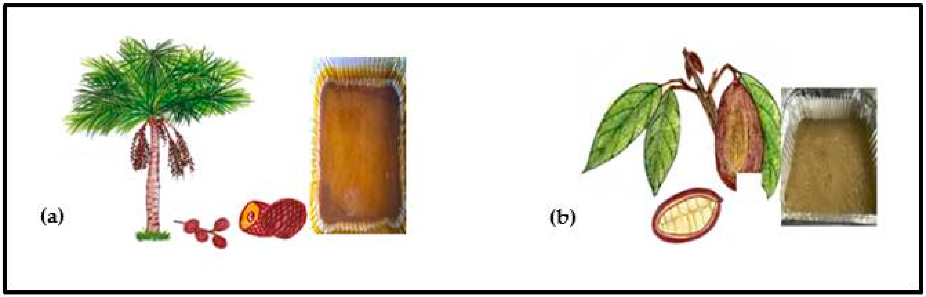 Molecules 26 06431 g001