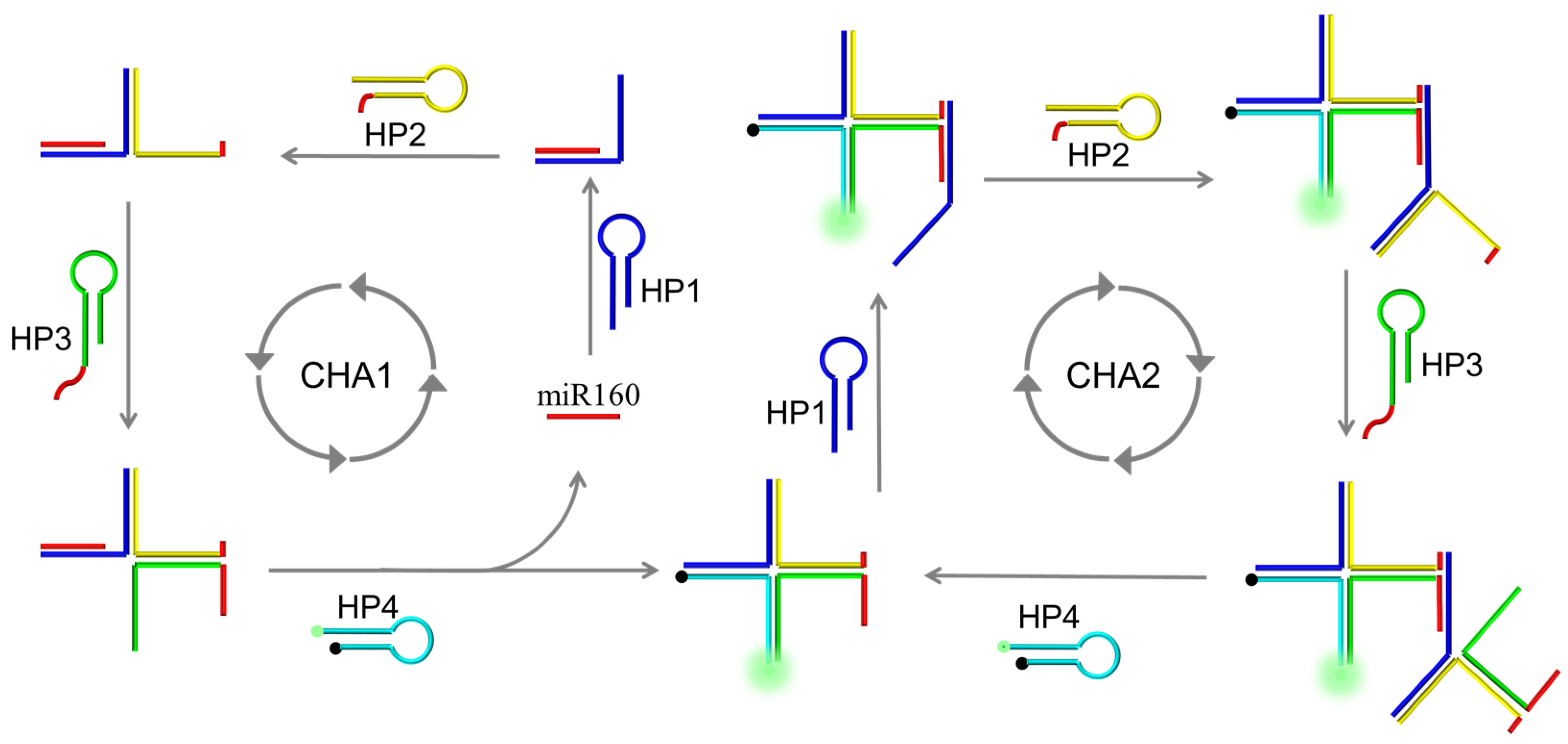 Molecules 26 06432 g001