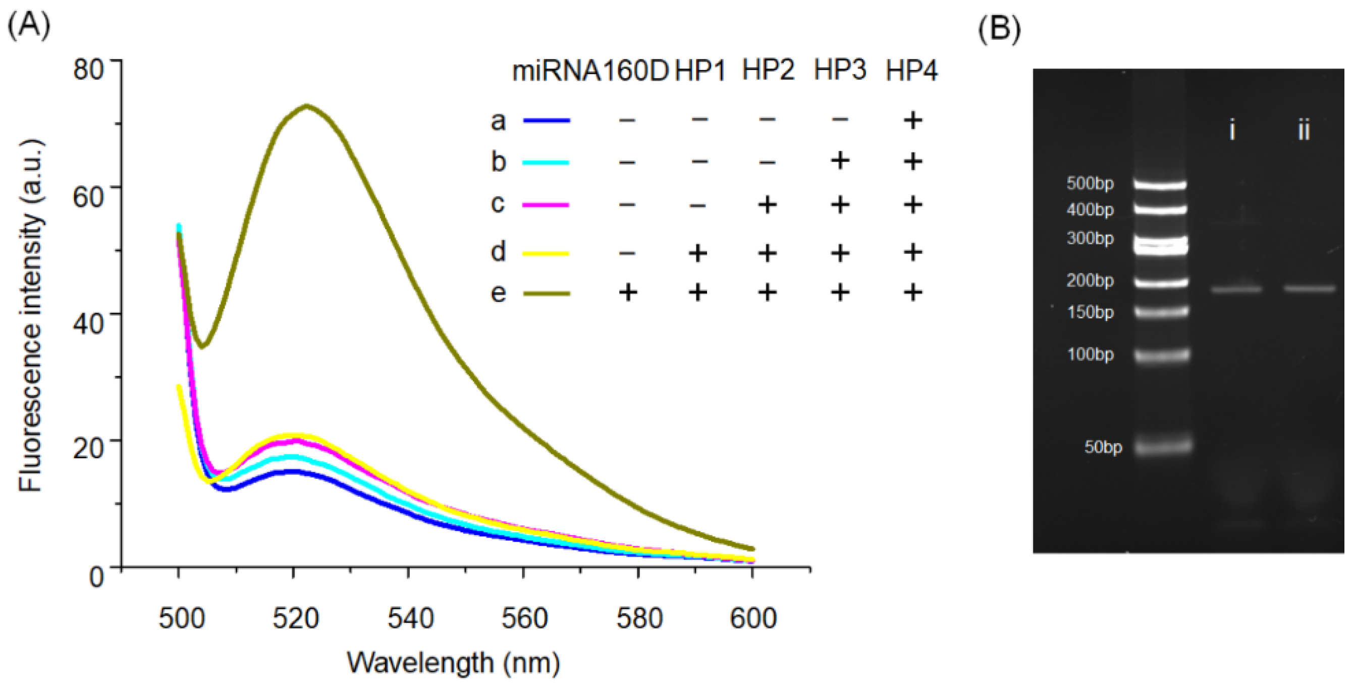 Molecules 26 06432 g002