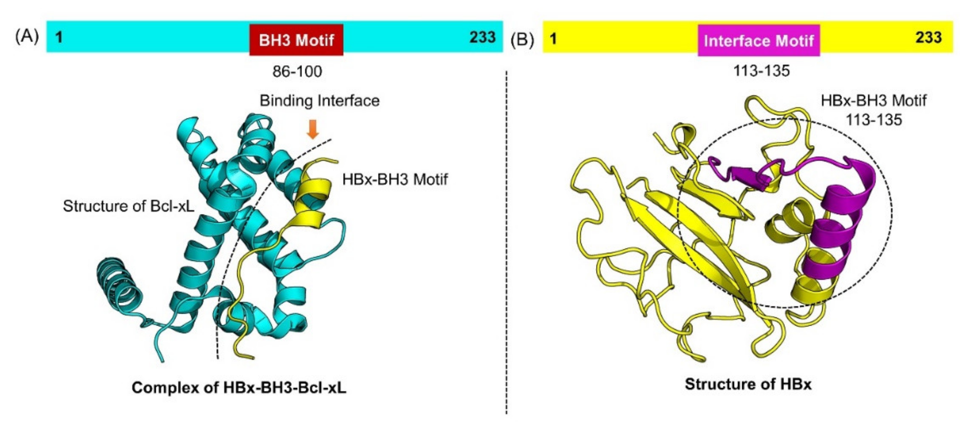 Molecules 26 06433 g001