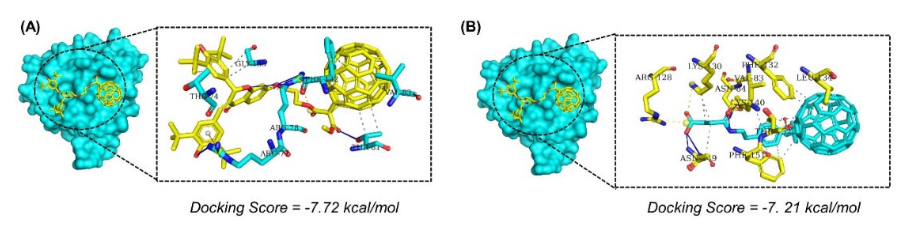 Molecules 26 06433 g002
