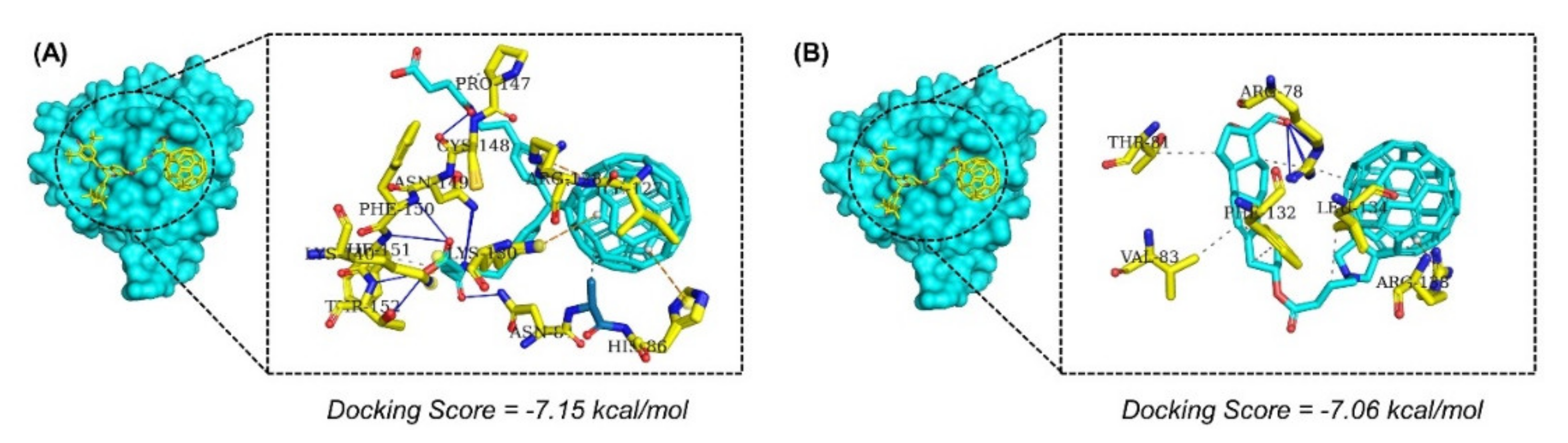 Molecules 26 06433 g003