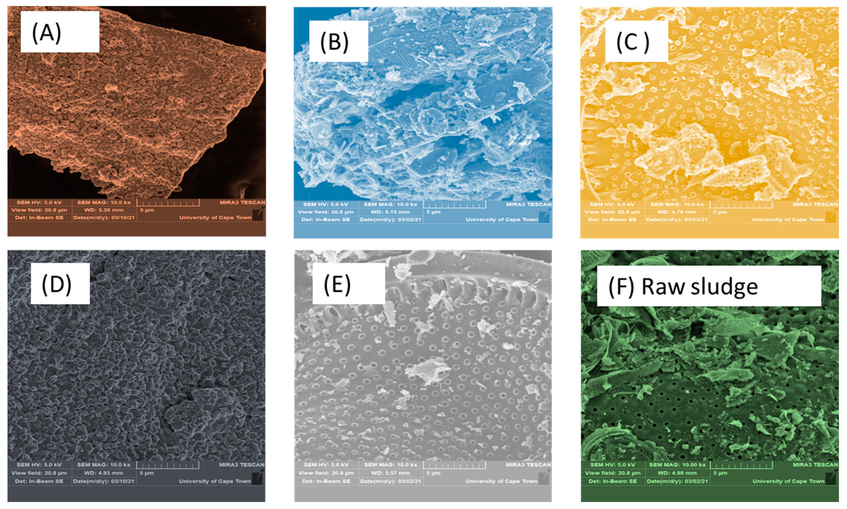 Molecules 26 06434 g001