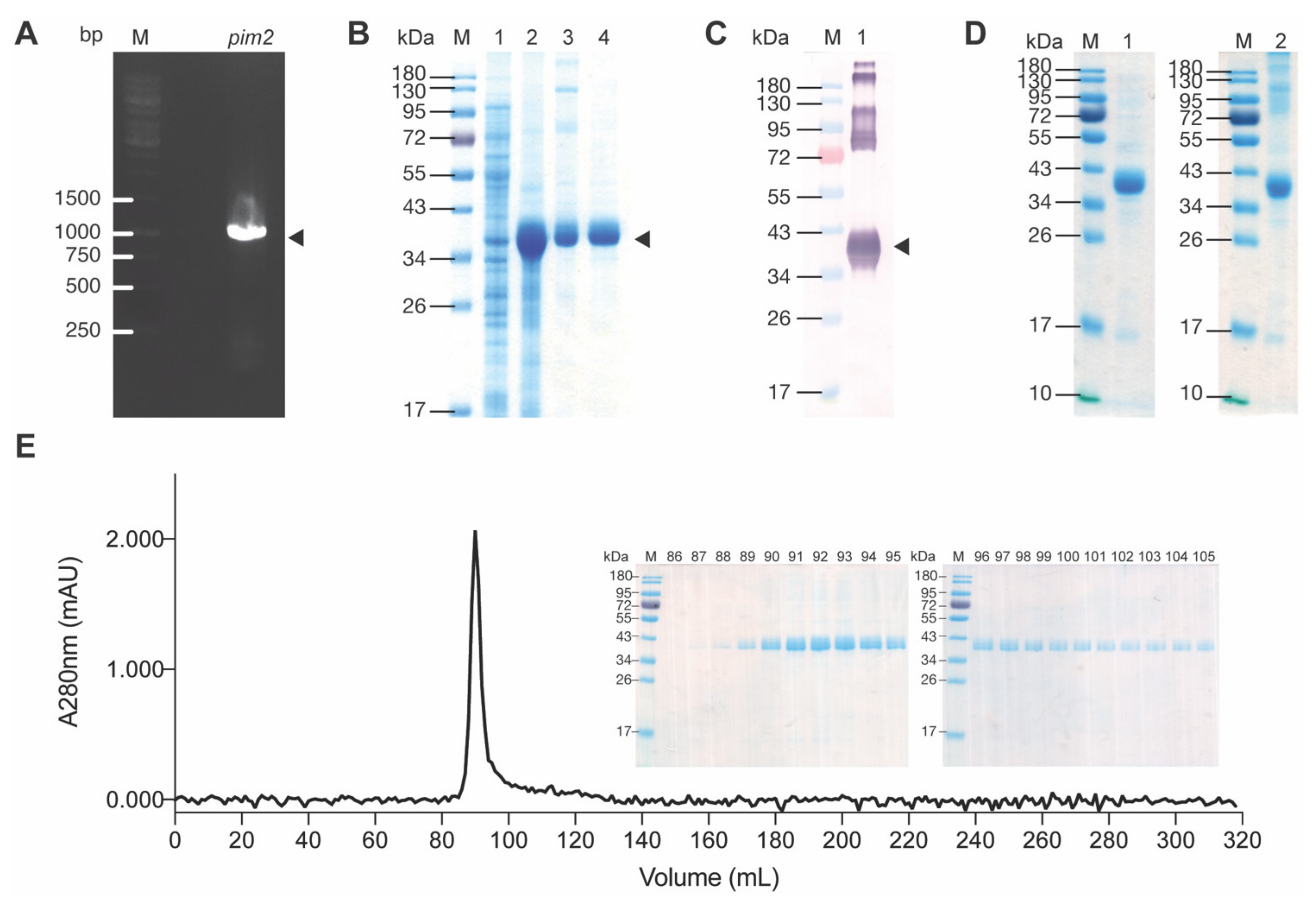 Molecules 26 06436 g002