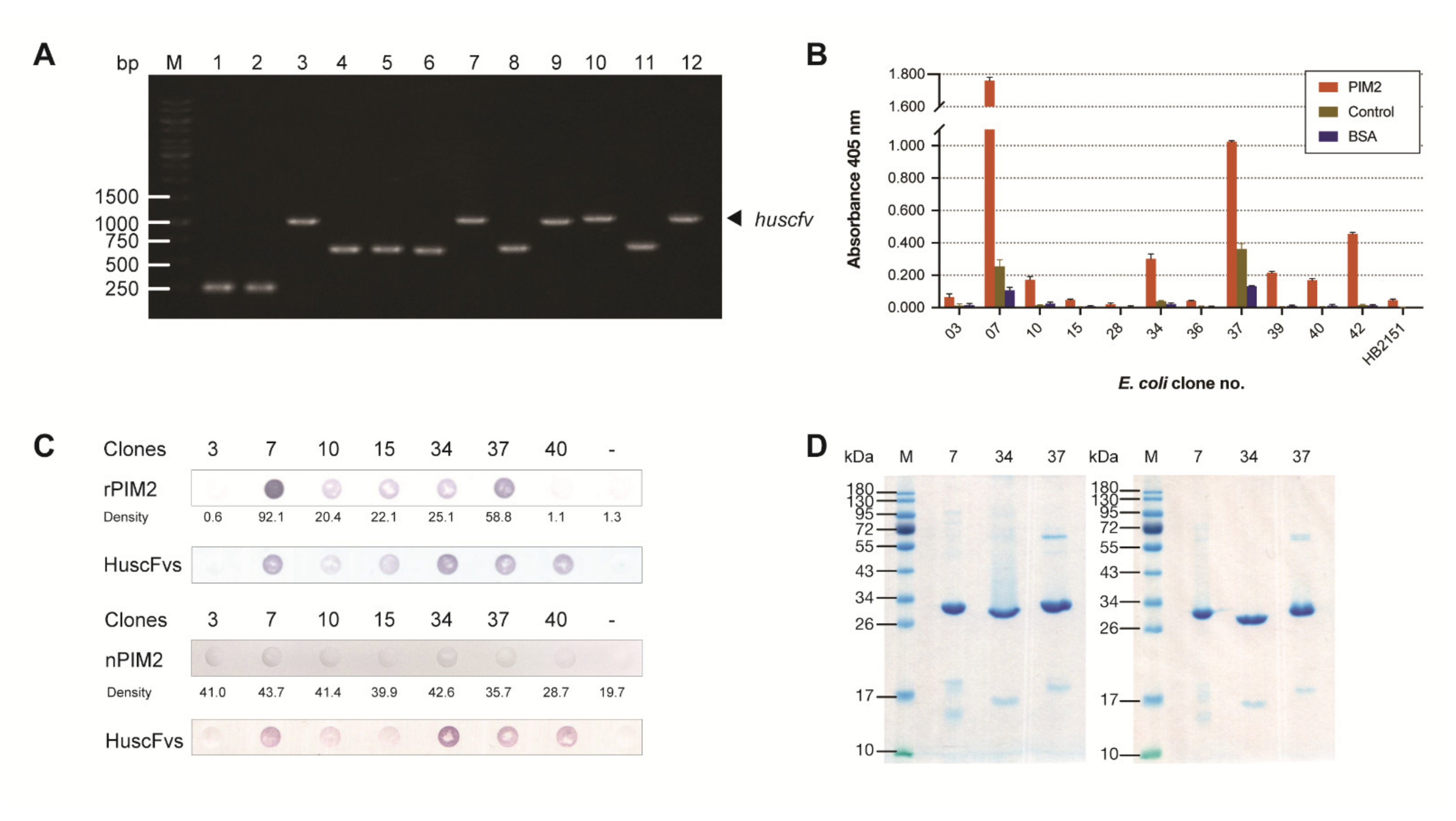 Molecules 26 06436 g003