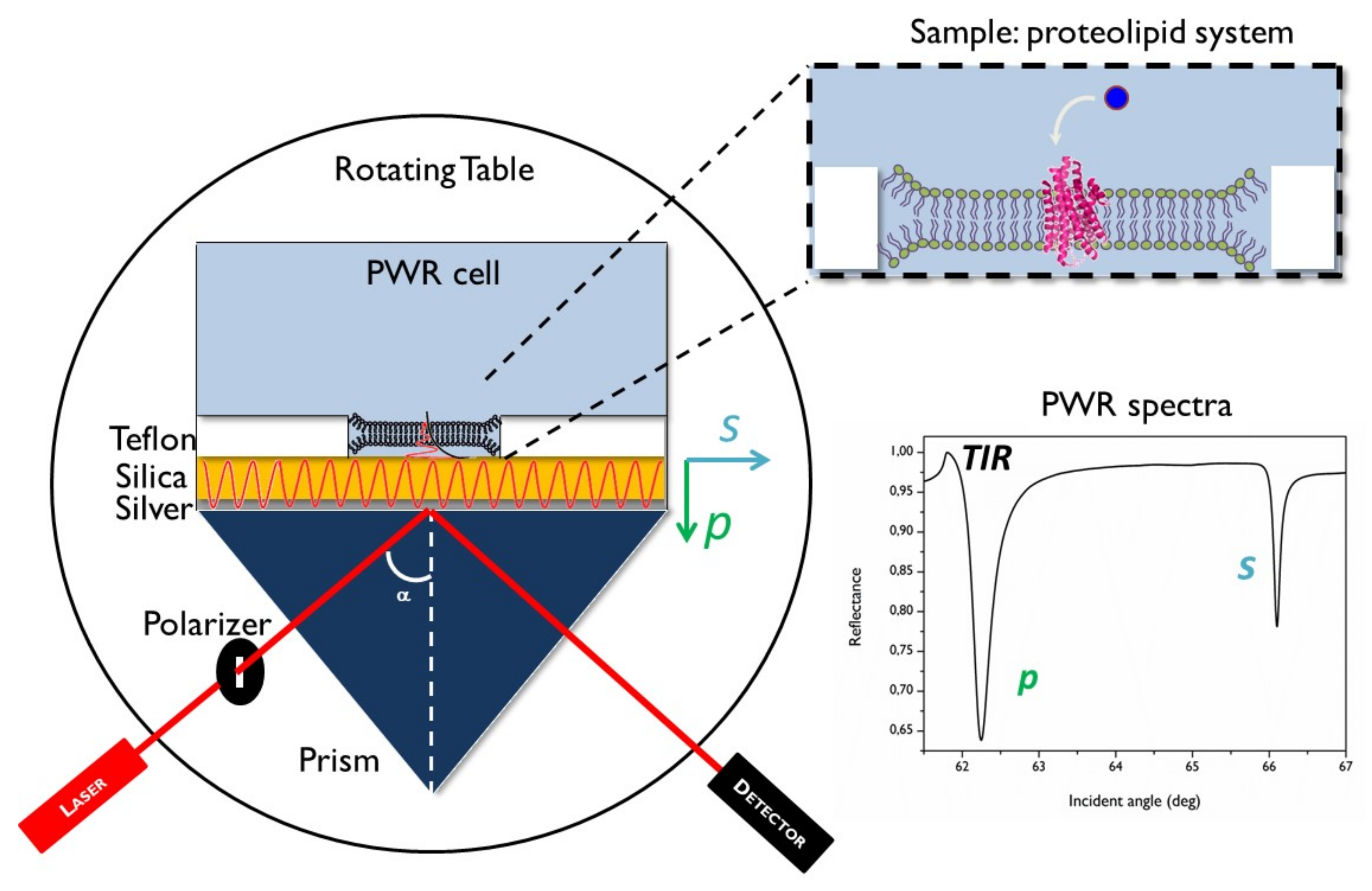 Molecules 26 06442 g001