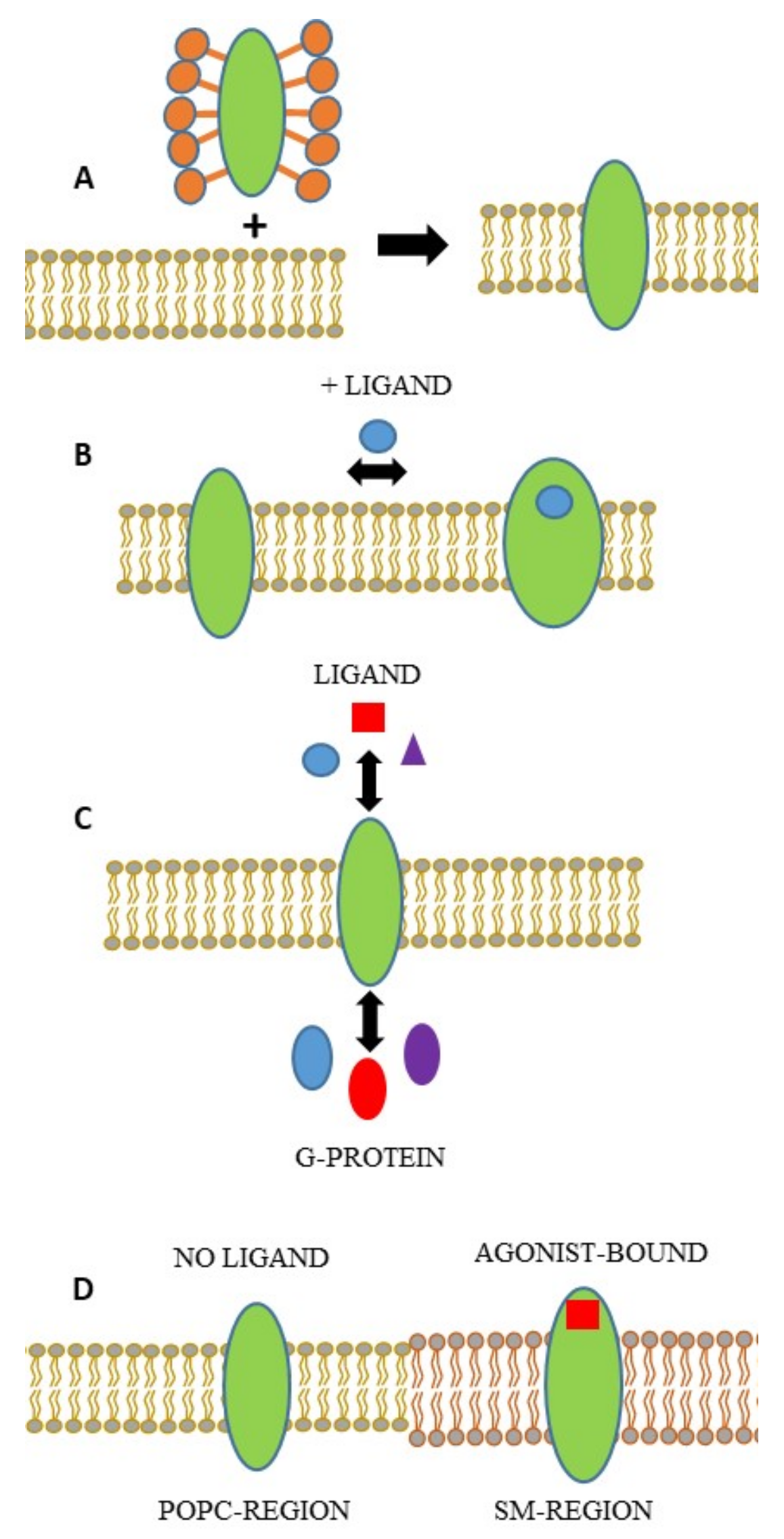 Molecules 26 06442 g004
