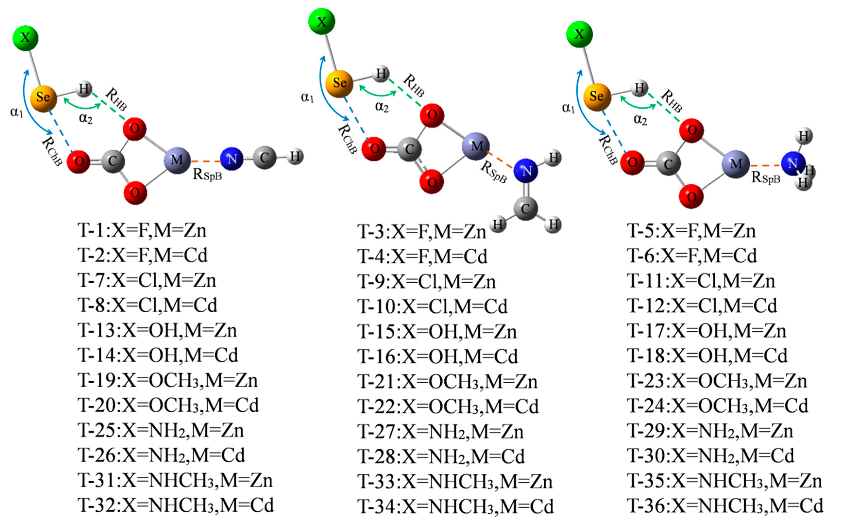 Molecules 26 06443 g005