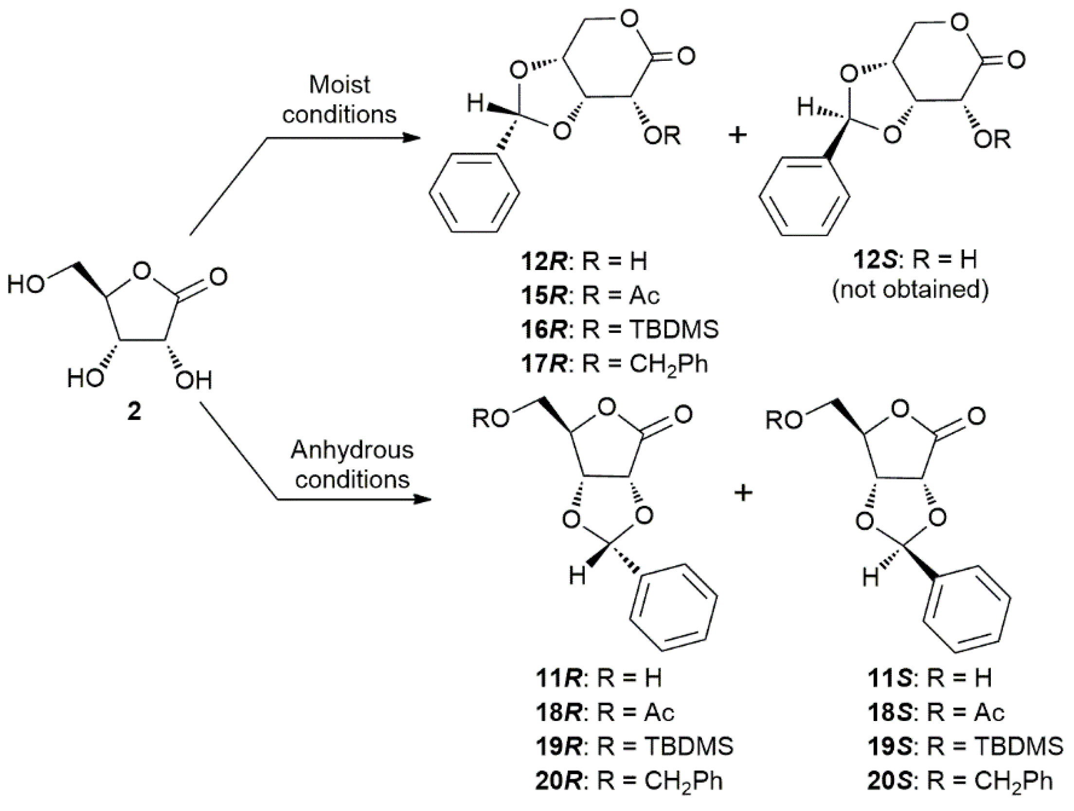 Molecules 26 06447 sch003
