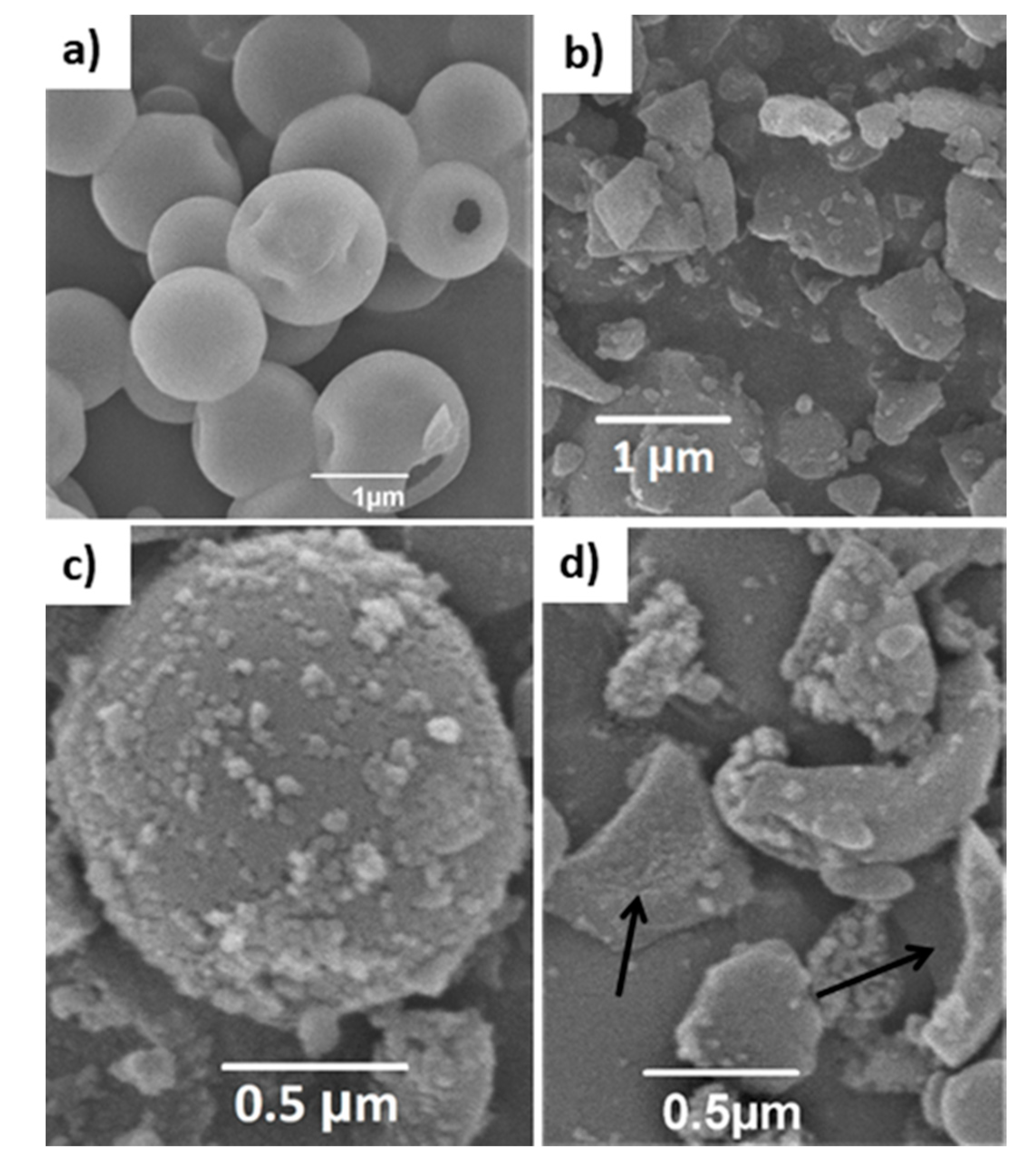Molecules 26 06450 g001