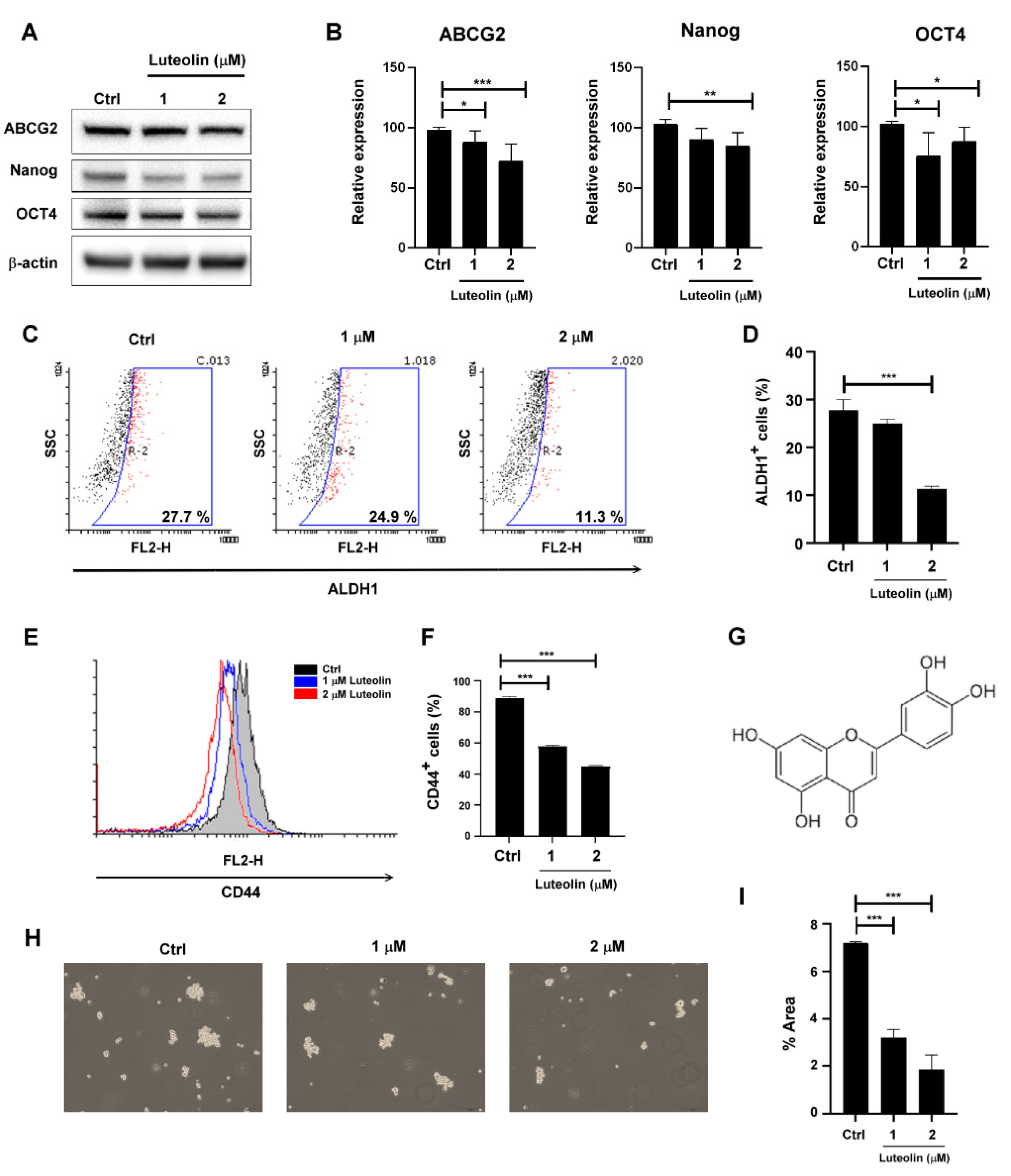 Molecules 26 06452 g001 Molecules 26 06452 g001