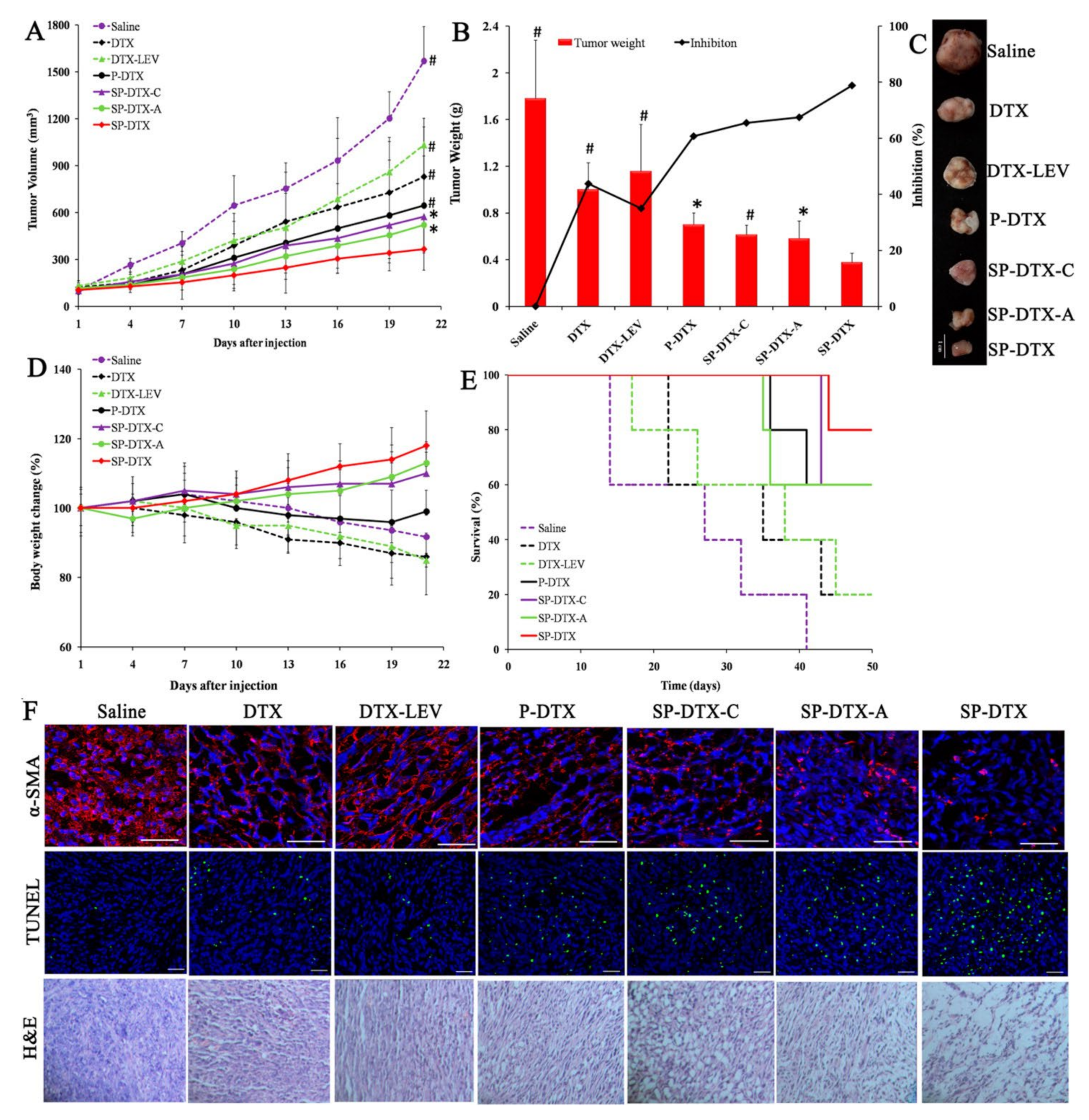 Molecules 26 06453 g002